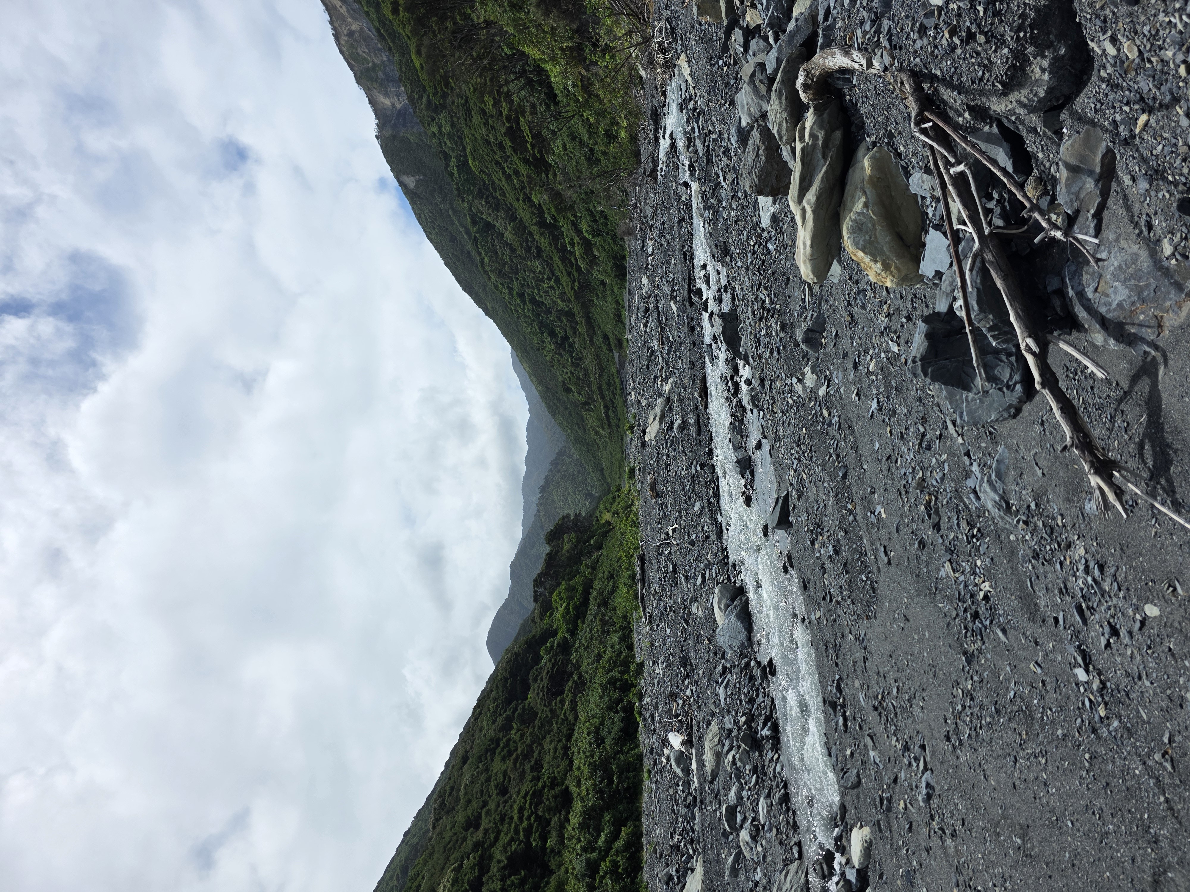 Wharekauhau Stream image 6