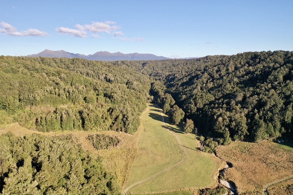 Napoleon Hill Campsite image 1