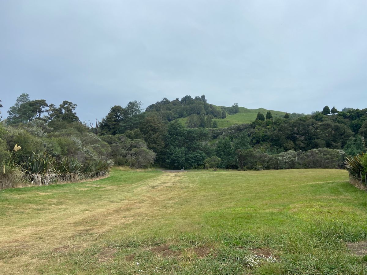 Ruatiti Domain image 1