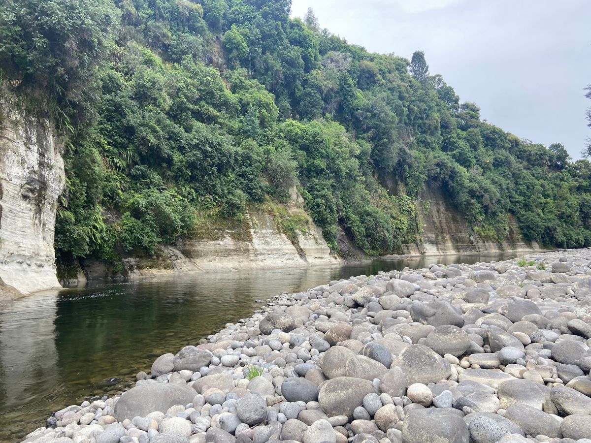 Ruatiti Domain image 3