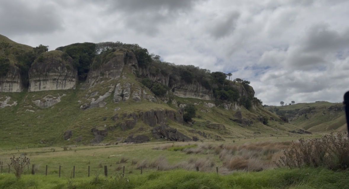 Waikaretu Road image 1