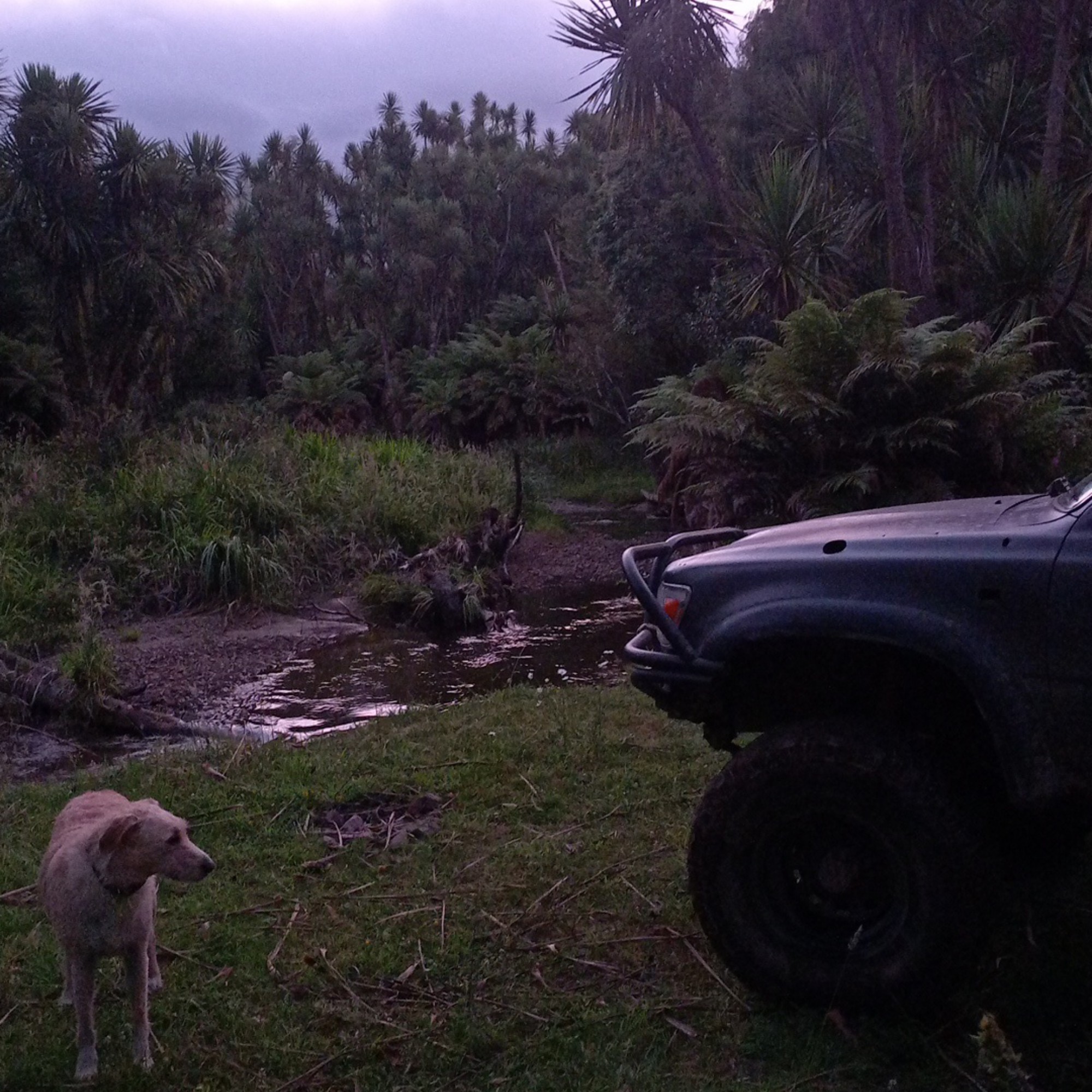 Okahu Road image 6