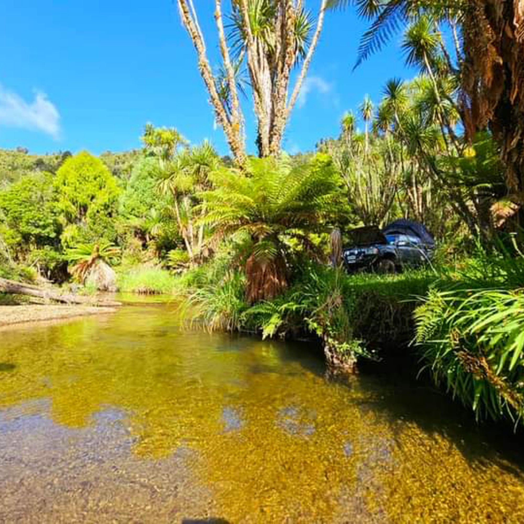 Okahu Road image 8