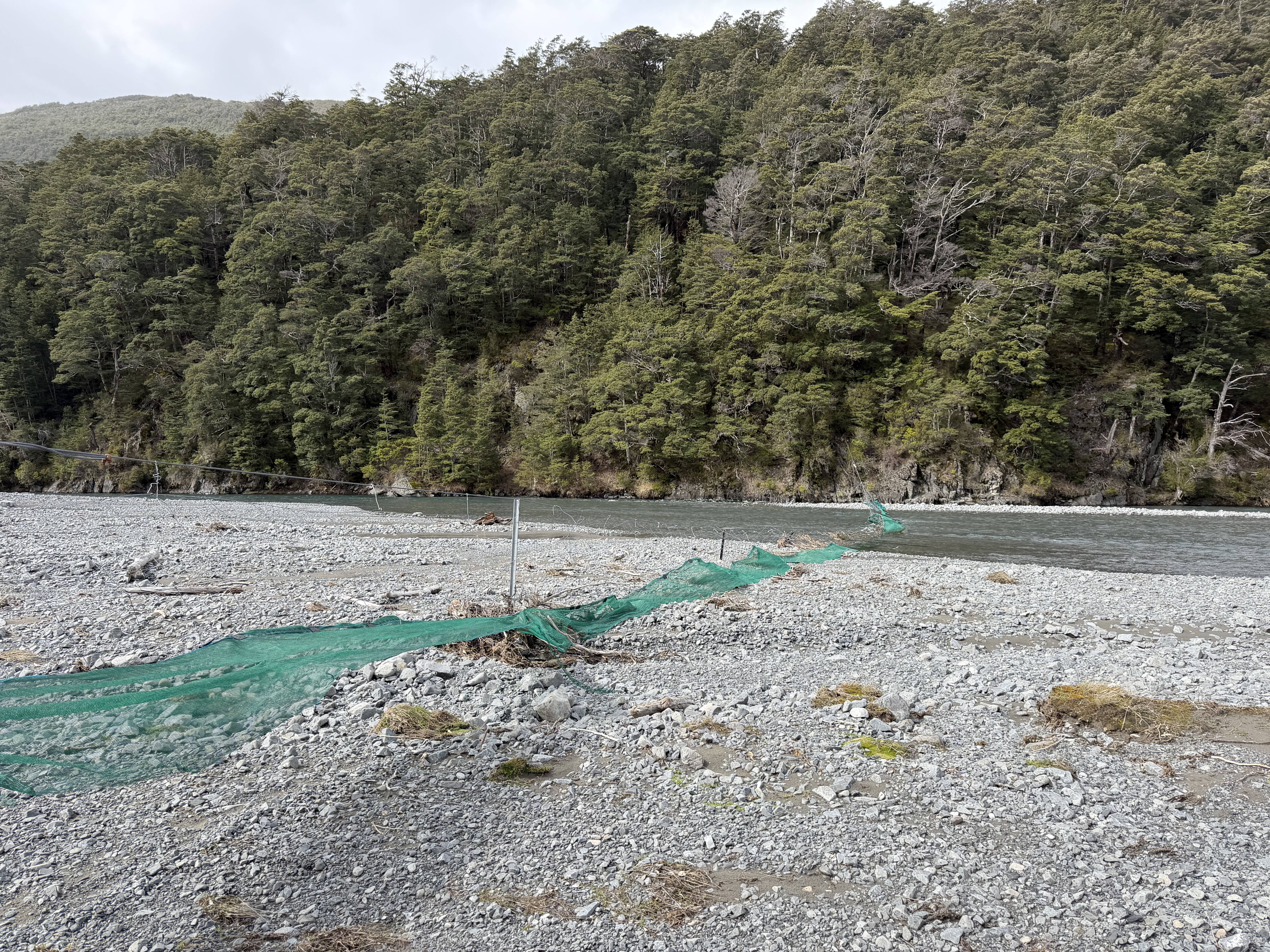 Hawdon River image 3