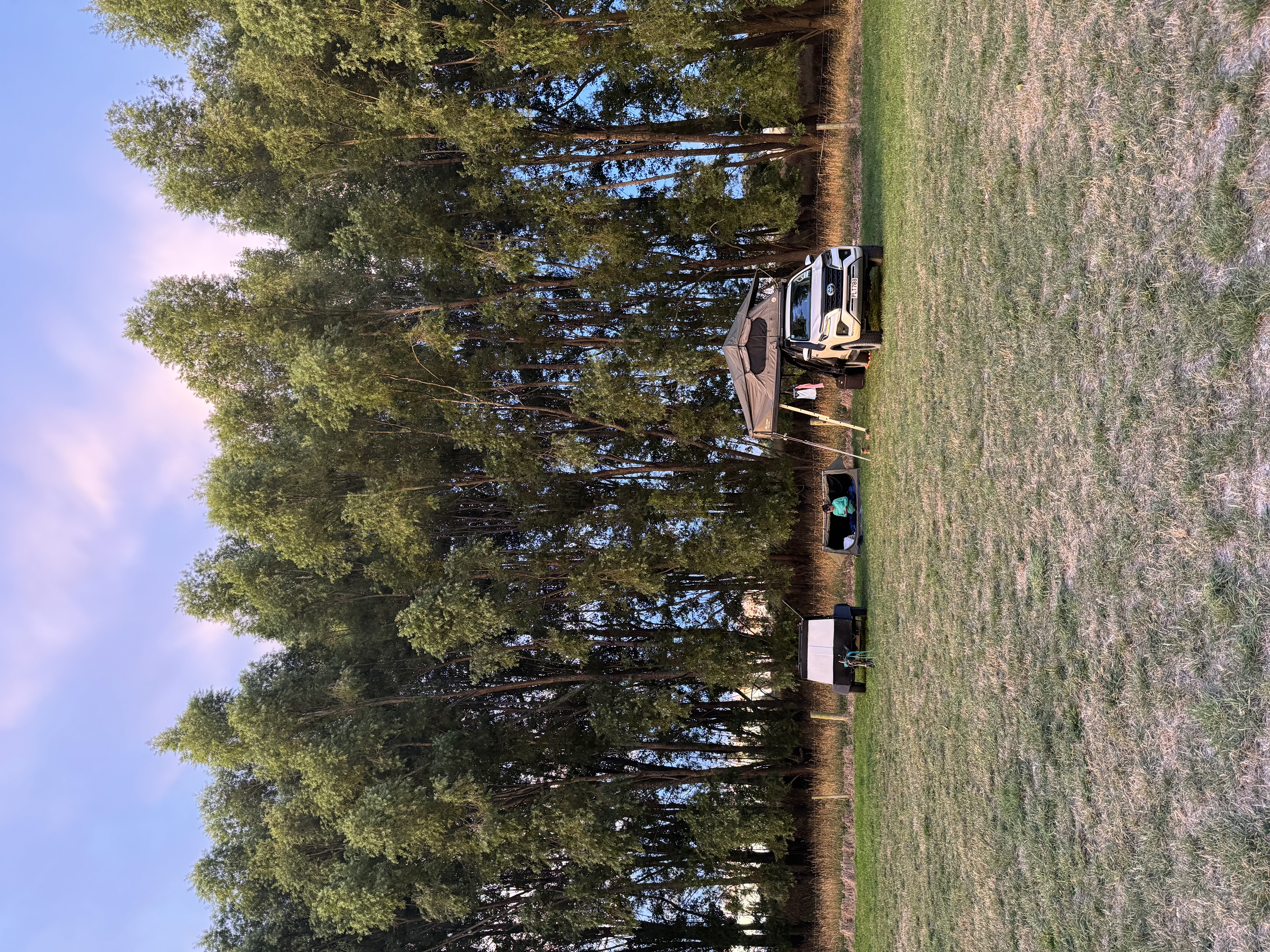 Coe's Ford Reserve image 4