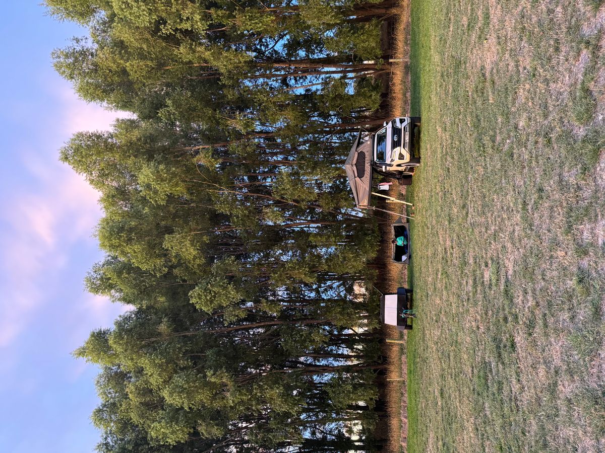 Coe's Ford Reserve image 4