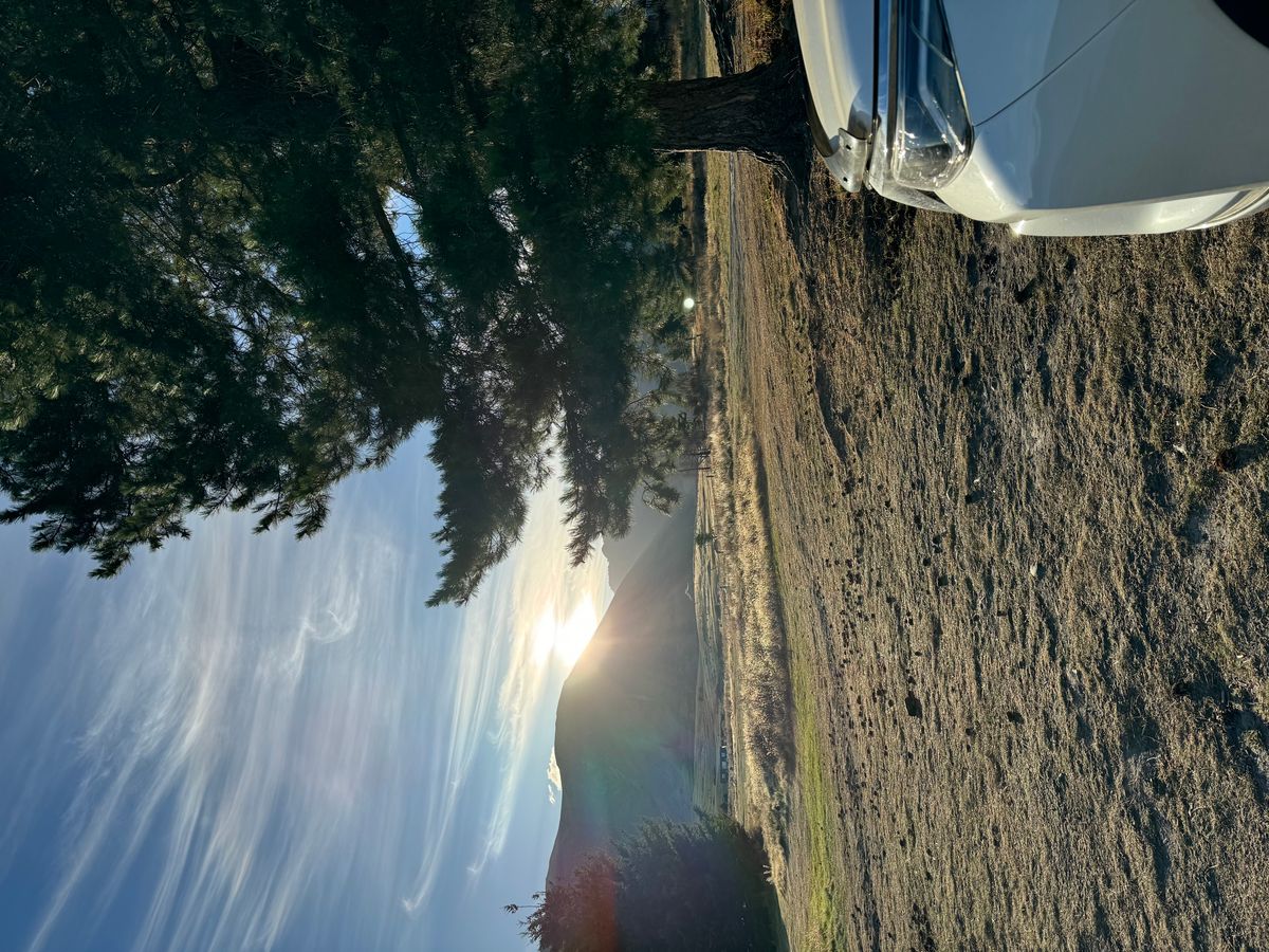 Lake Middleton Campsite image 4