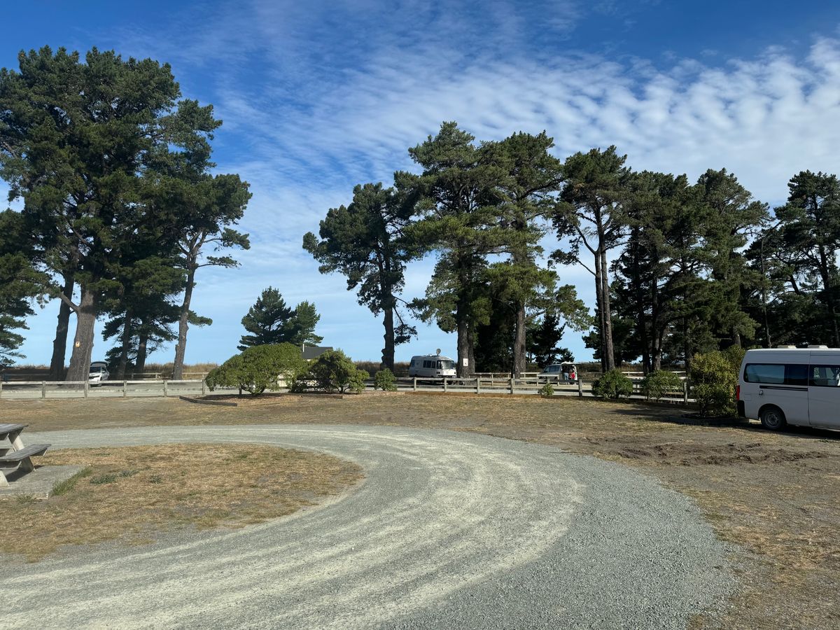 Rarangi Campsite image 5