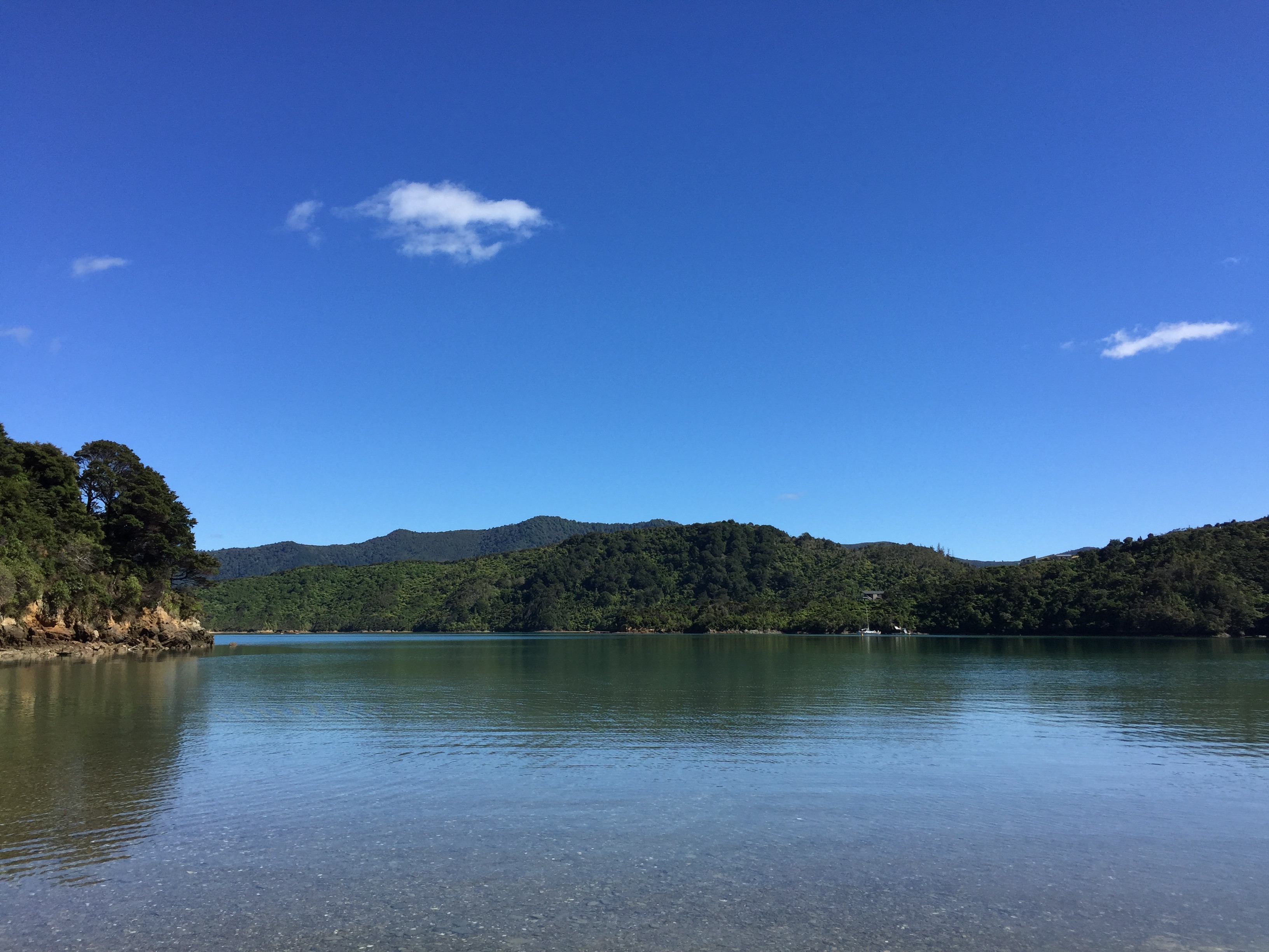 Cowshed Bay Campsite image 1
