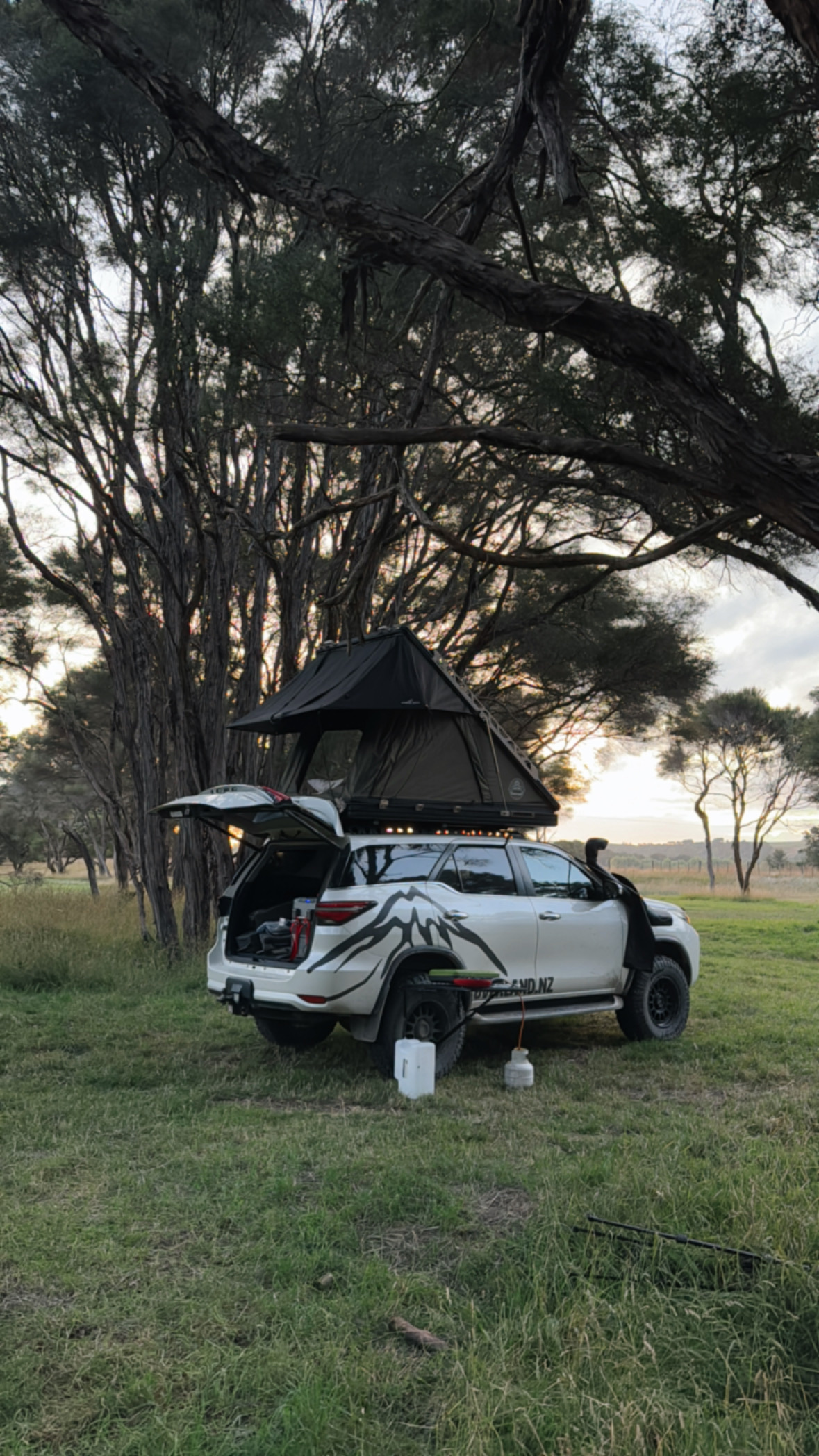 Morison Bush image 4