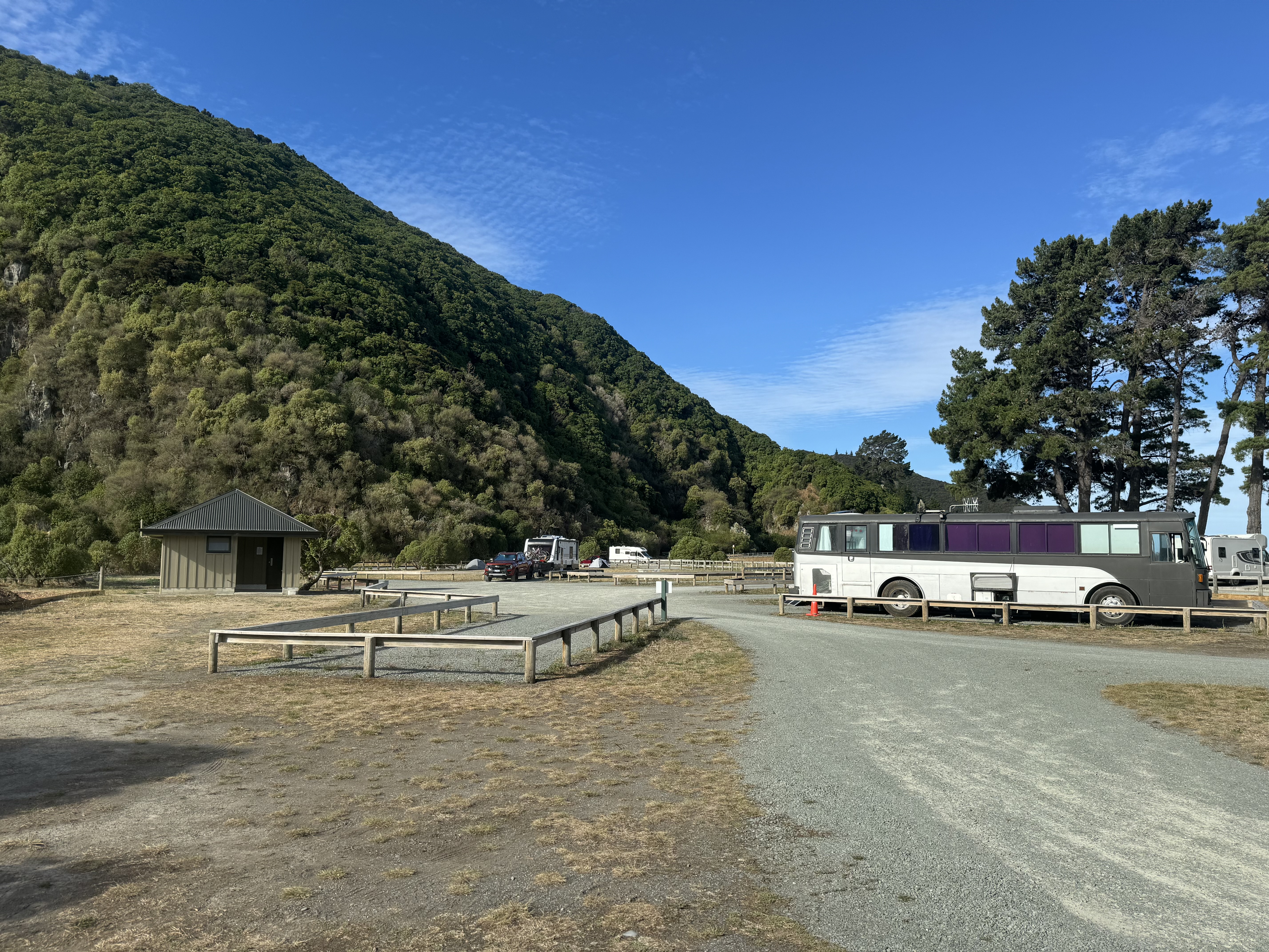 Rarangi Campsite image 7