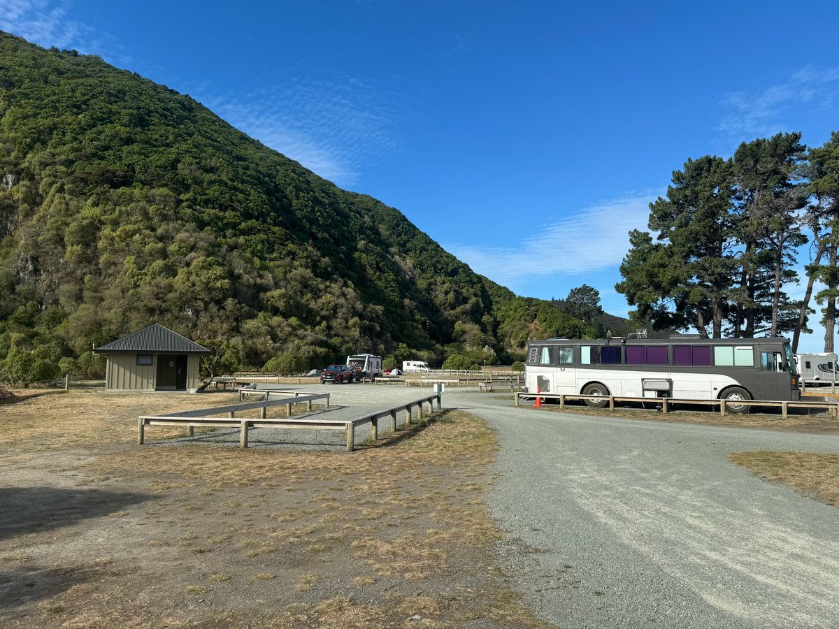 Rarangi Campsite image 7
