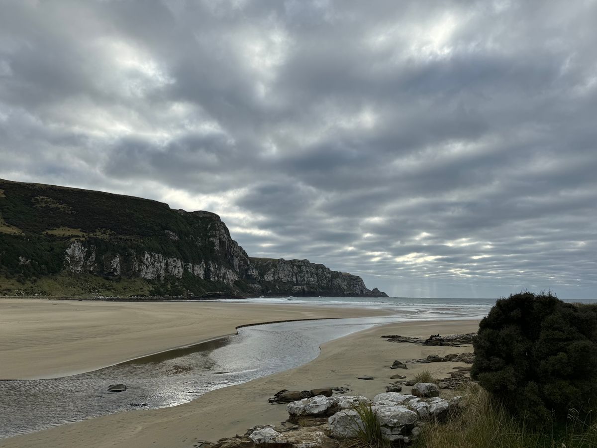Purakaunui Bay Campsite image 5