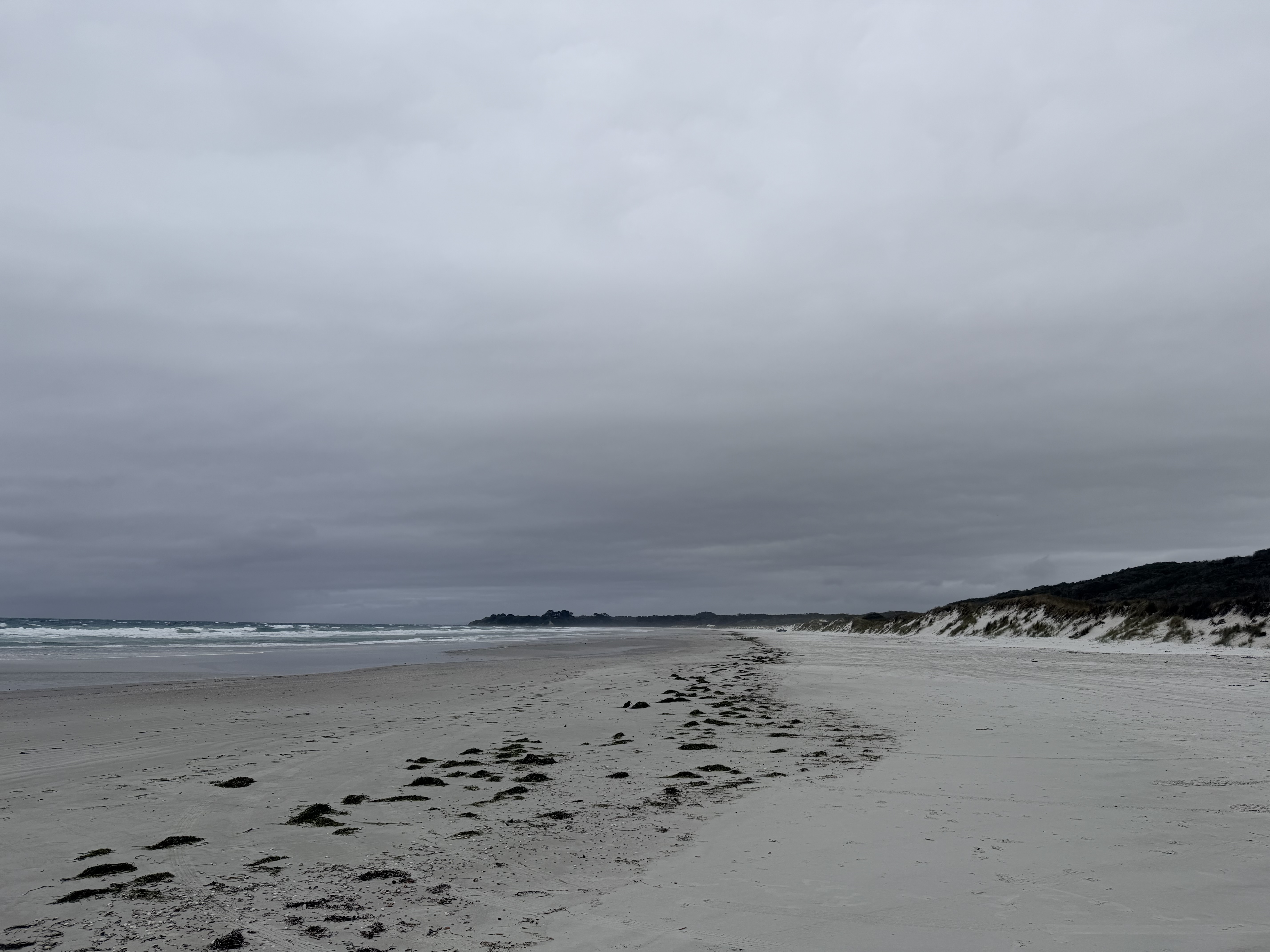 Rarawa Beach image 8