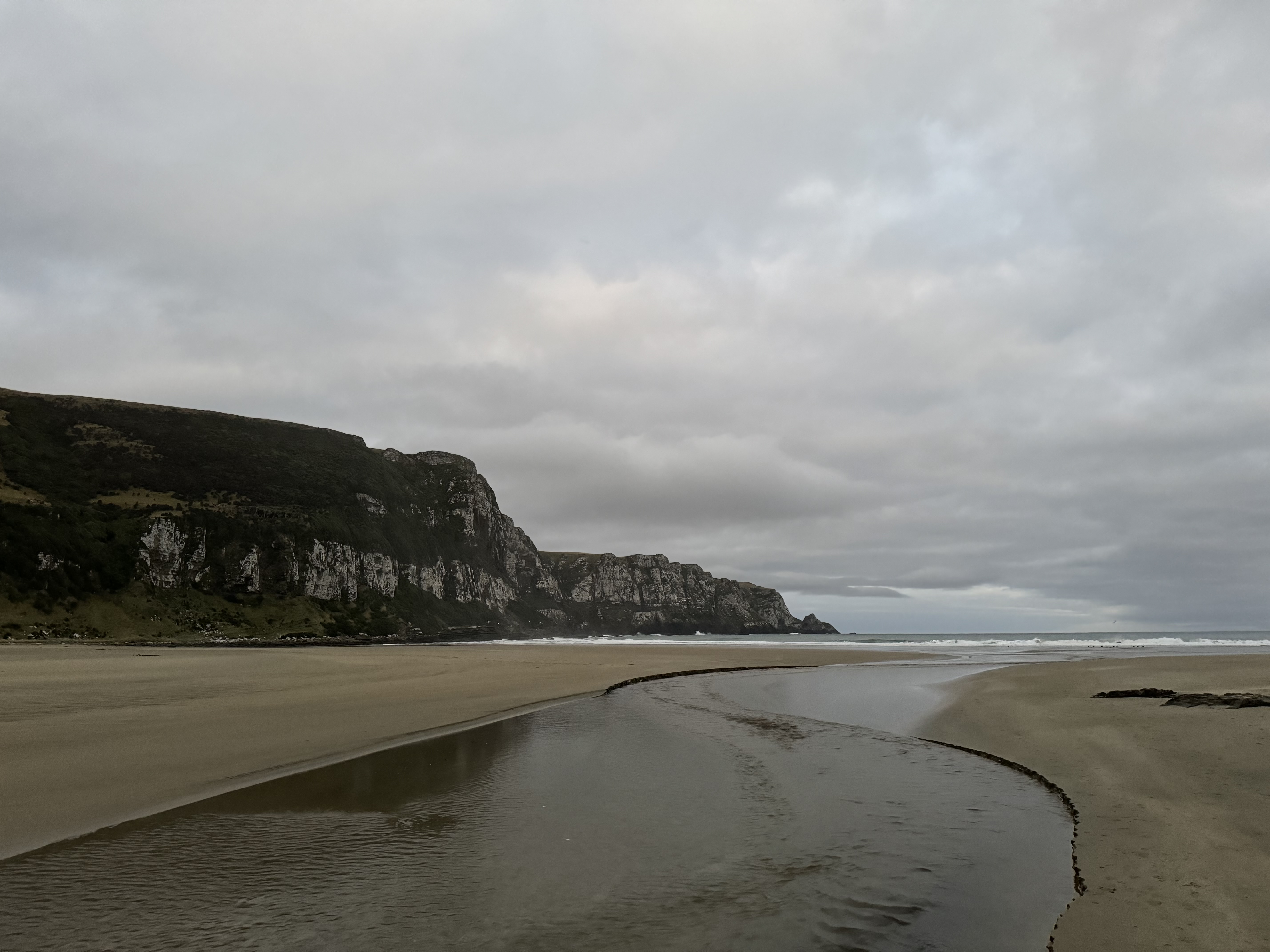 Purakaunui Bay Campsite image 8