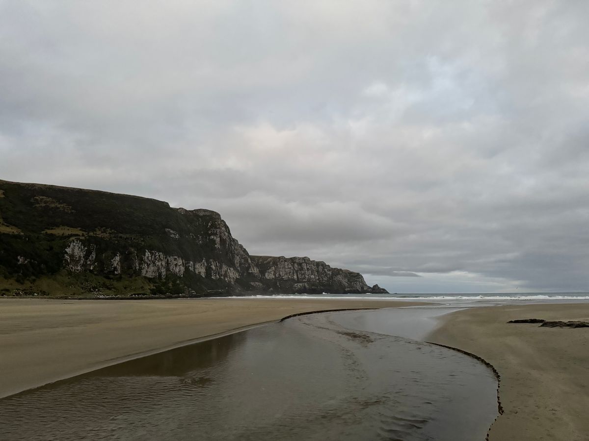 Purakaunui Bay Campsite image 3