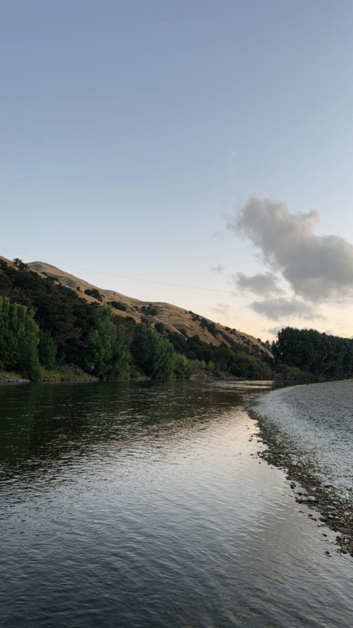 Morison Bush image 3