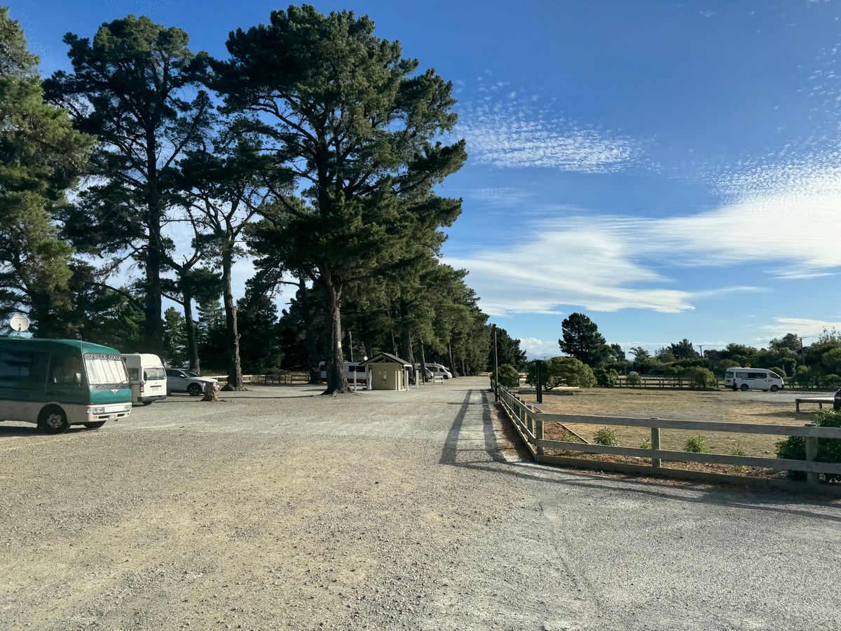 Rarangi Campsite image 4