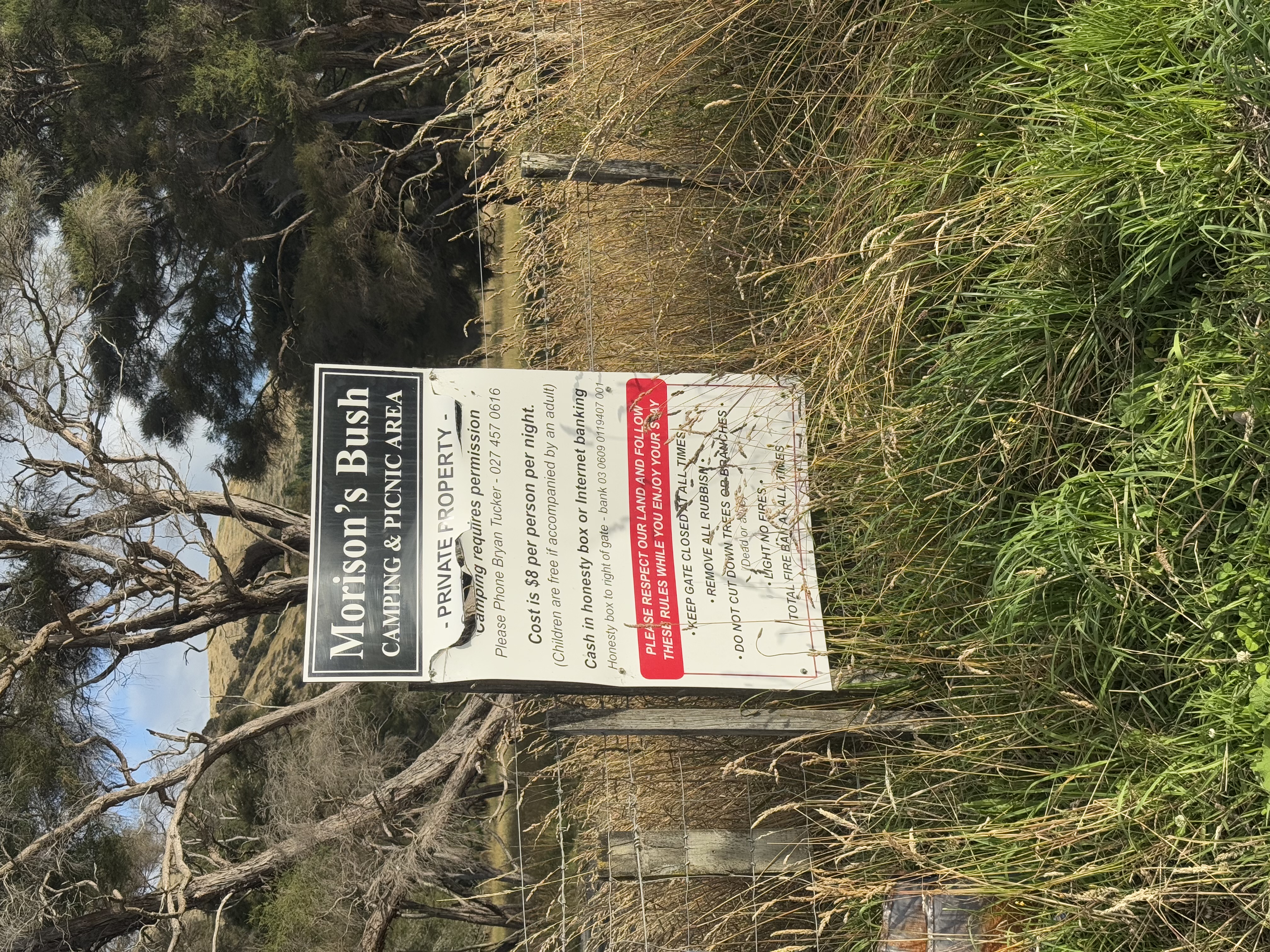 Morison Bush image 2