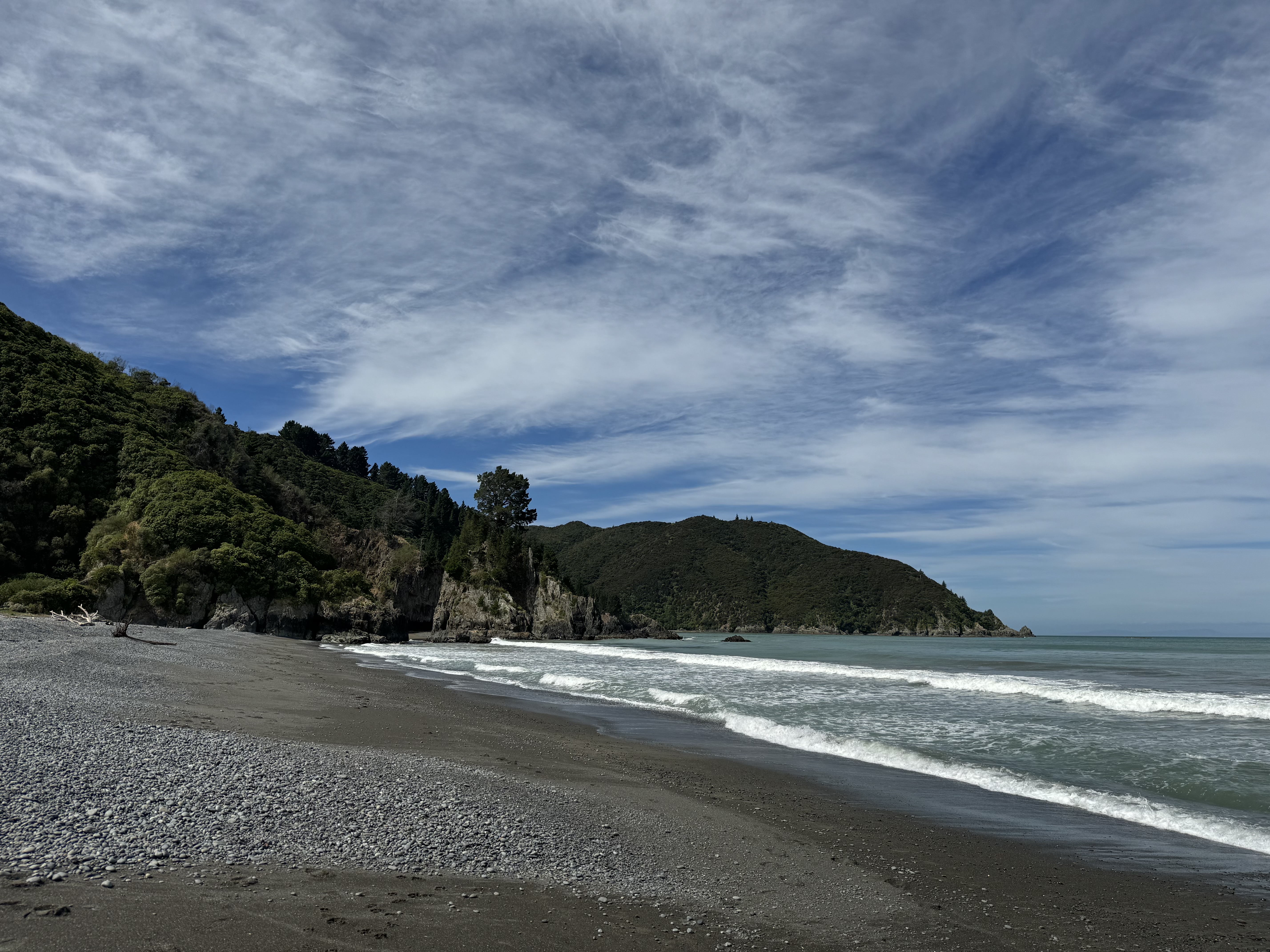 Rarangi Campsite image 6