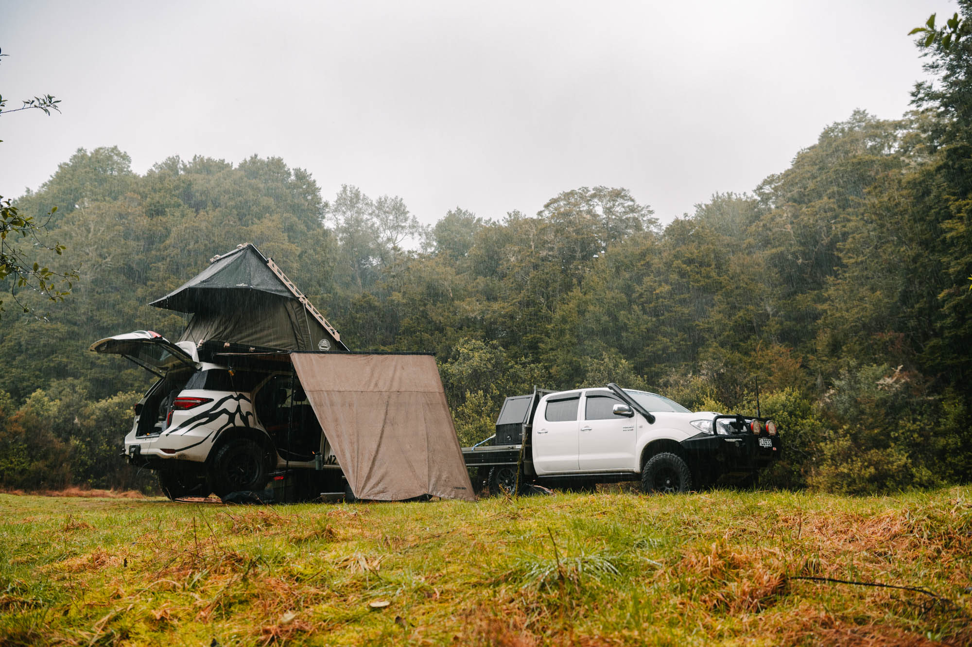 Clements Clearing Campsite image 3