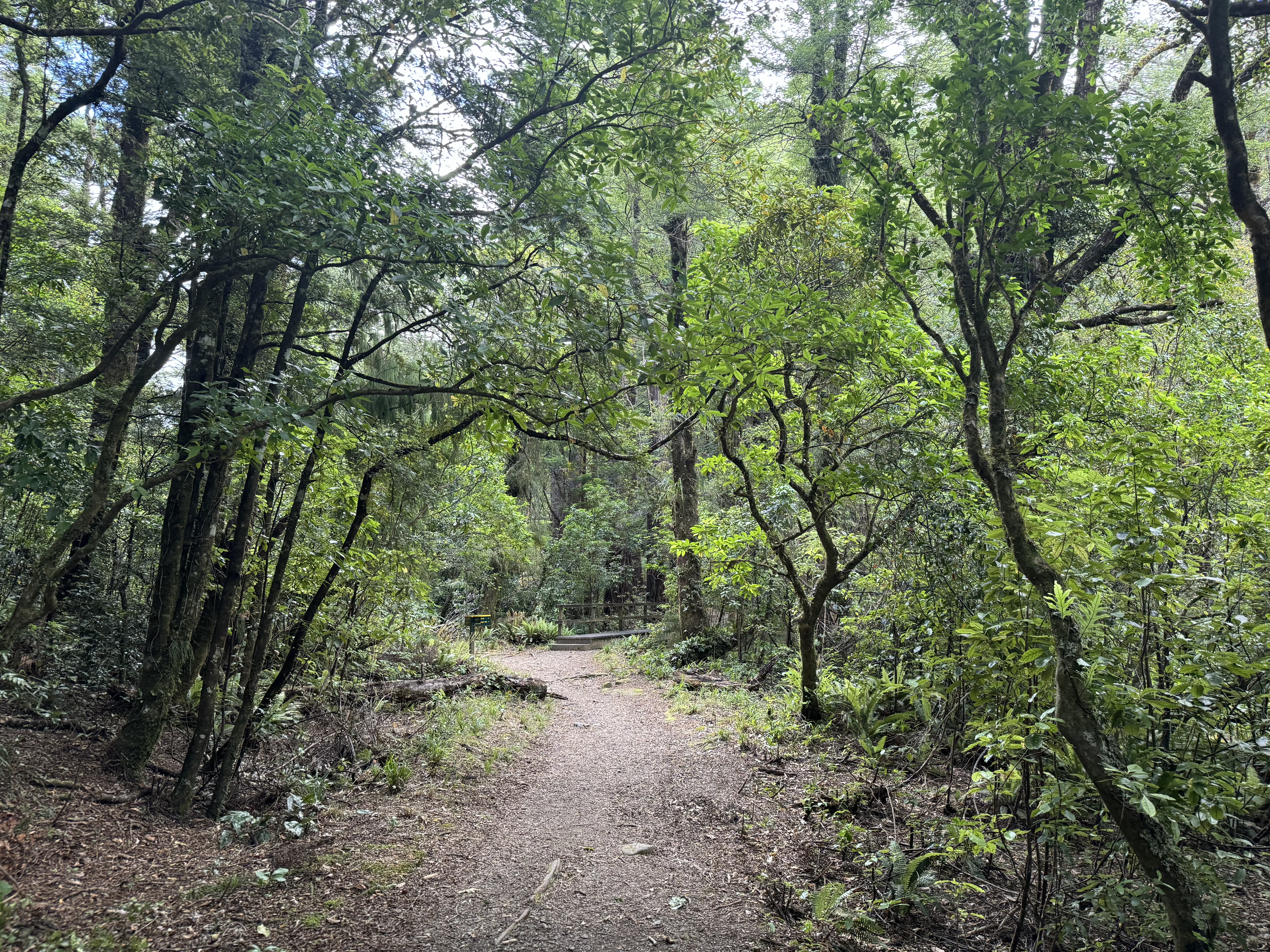 Kiriwhakapapa Campsite image 3