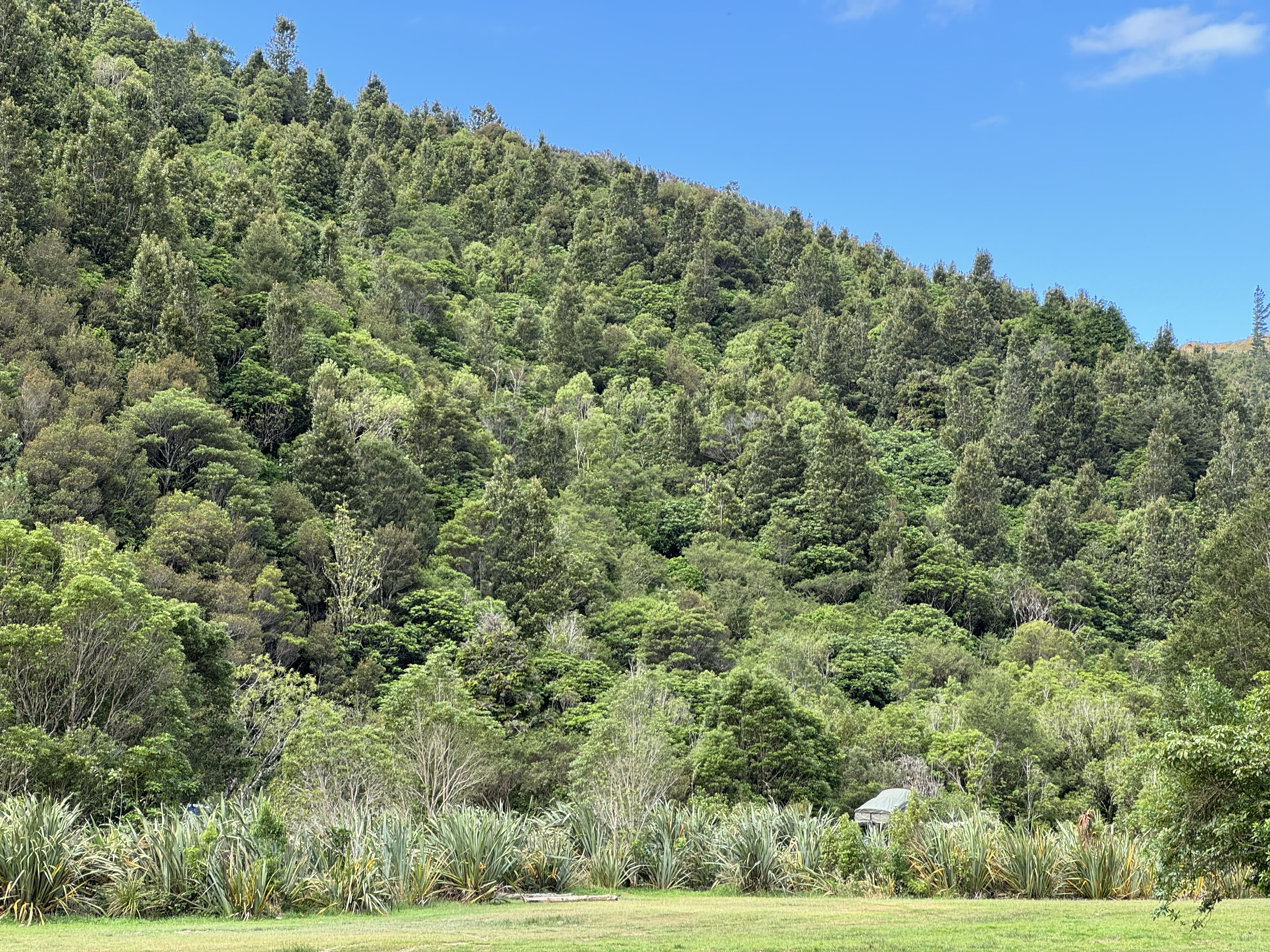 Kiriwhakapapa Campsite image 5