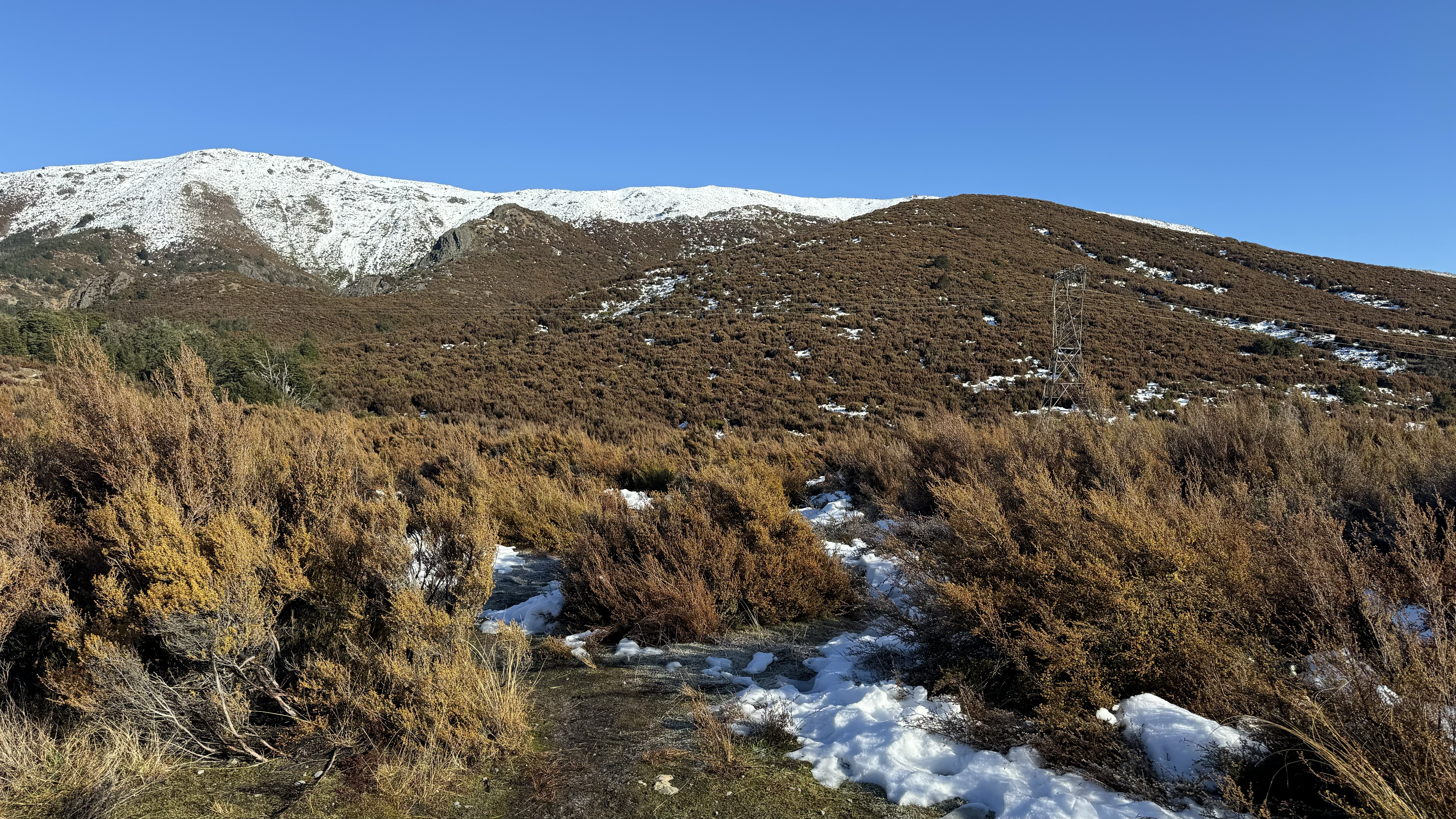 Jack Pass Road image 7