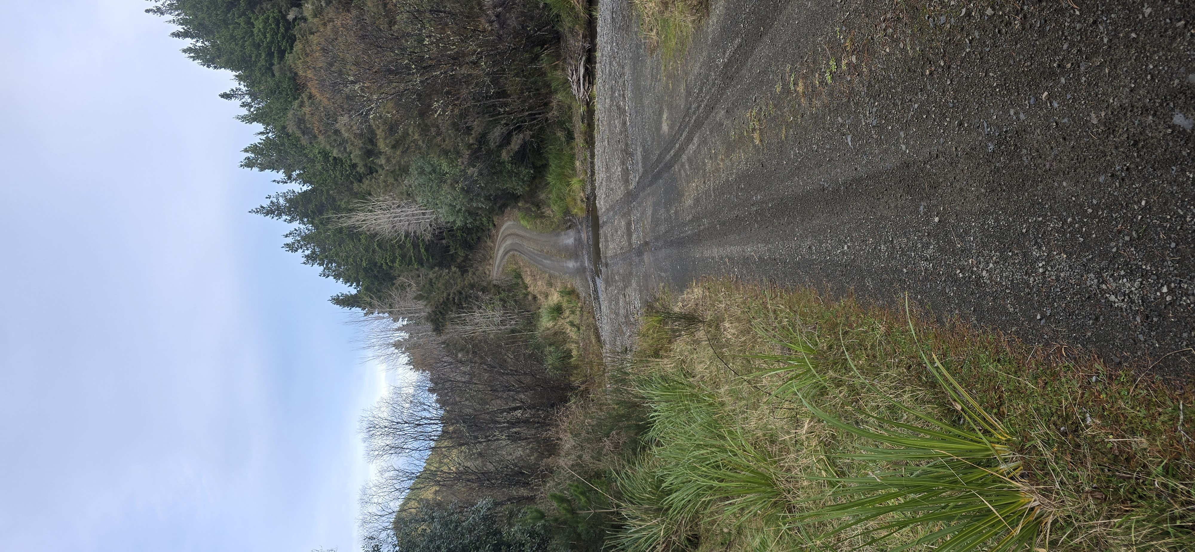 Lotkow Road image 3