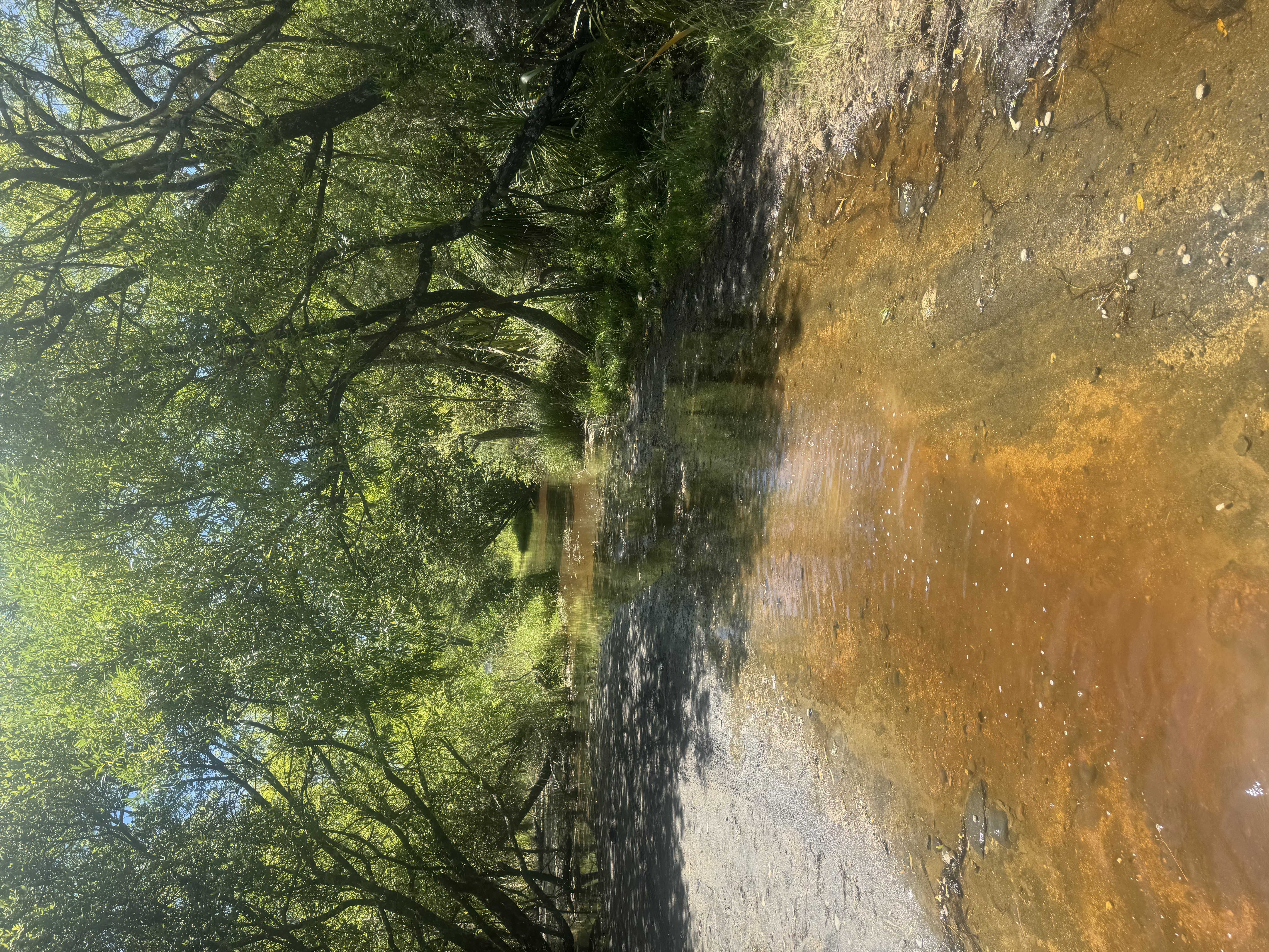 Waimarino River Mouth image 4