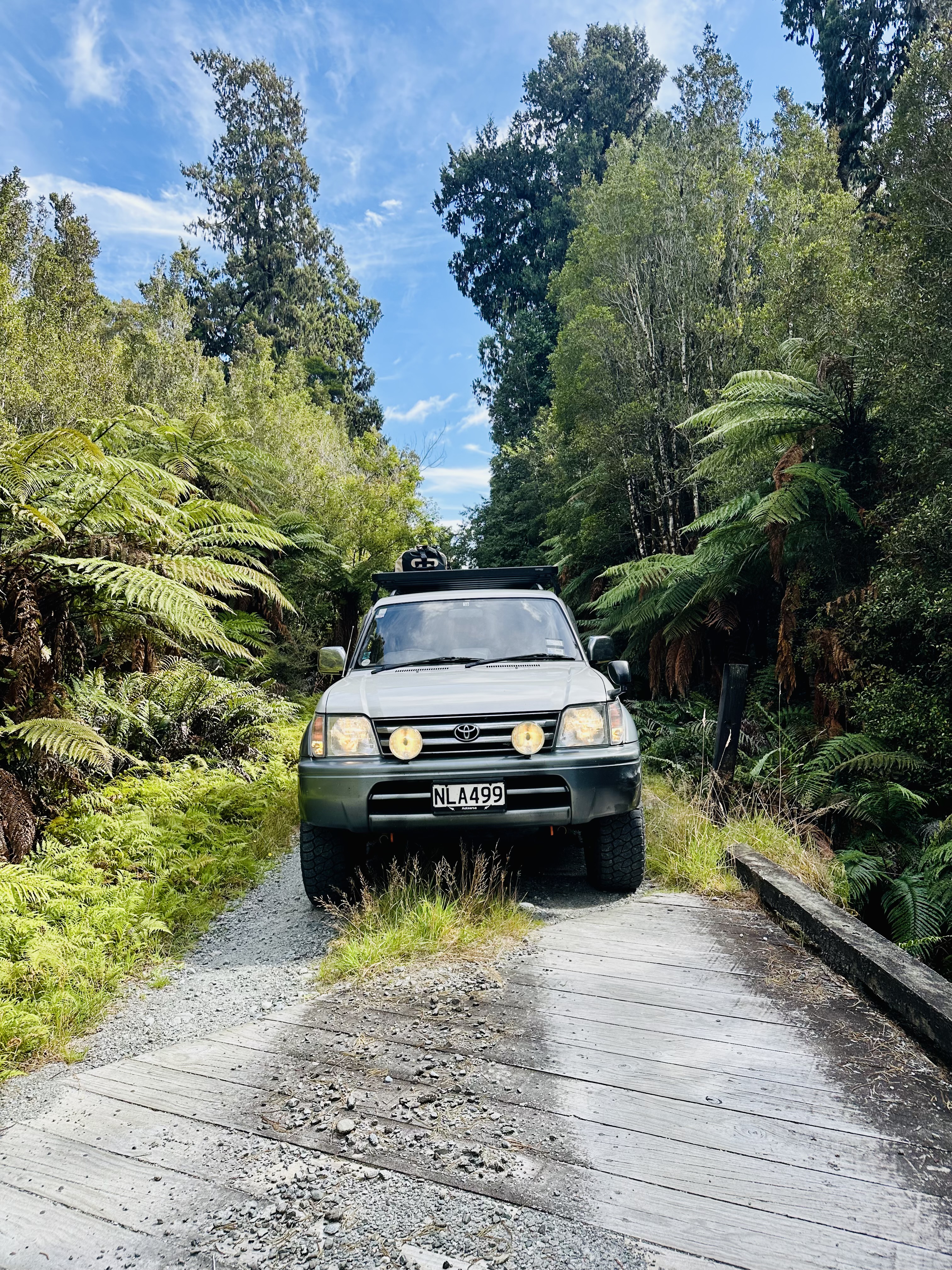 Whataroa River image 2
