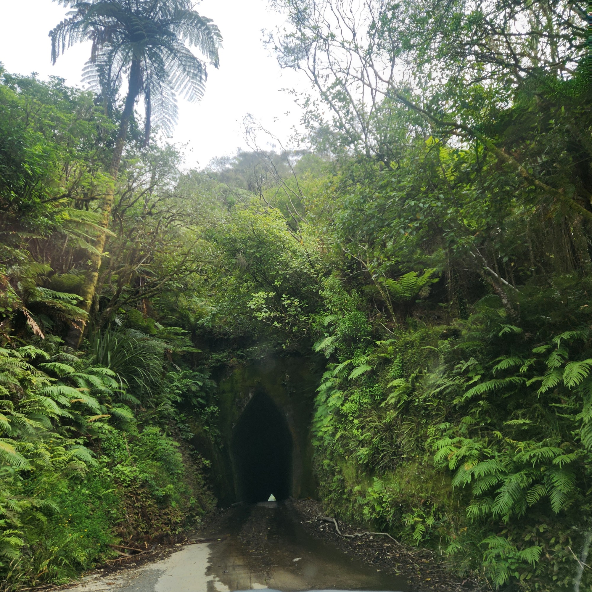 Mangaopapa Road image 8