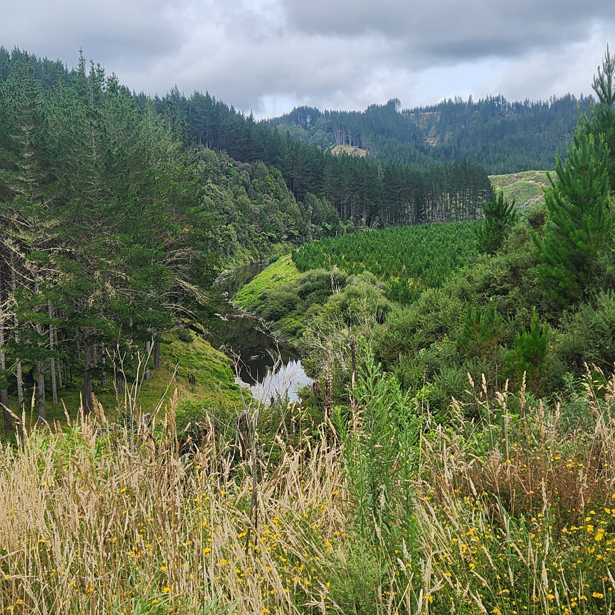 Mangaopapa Road image 1