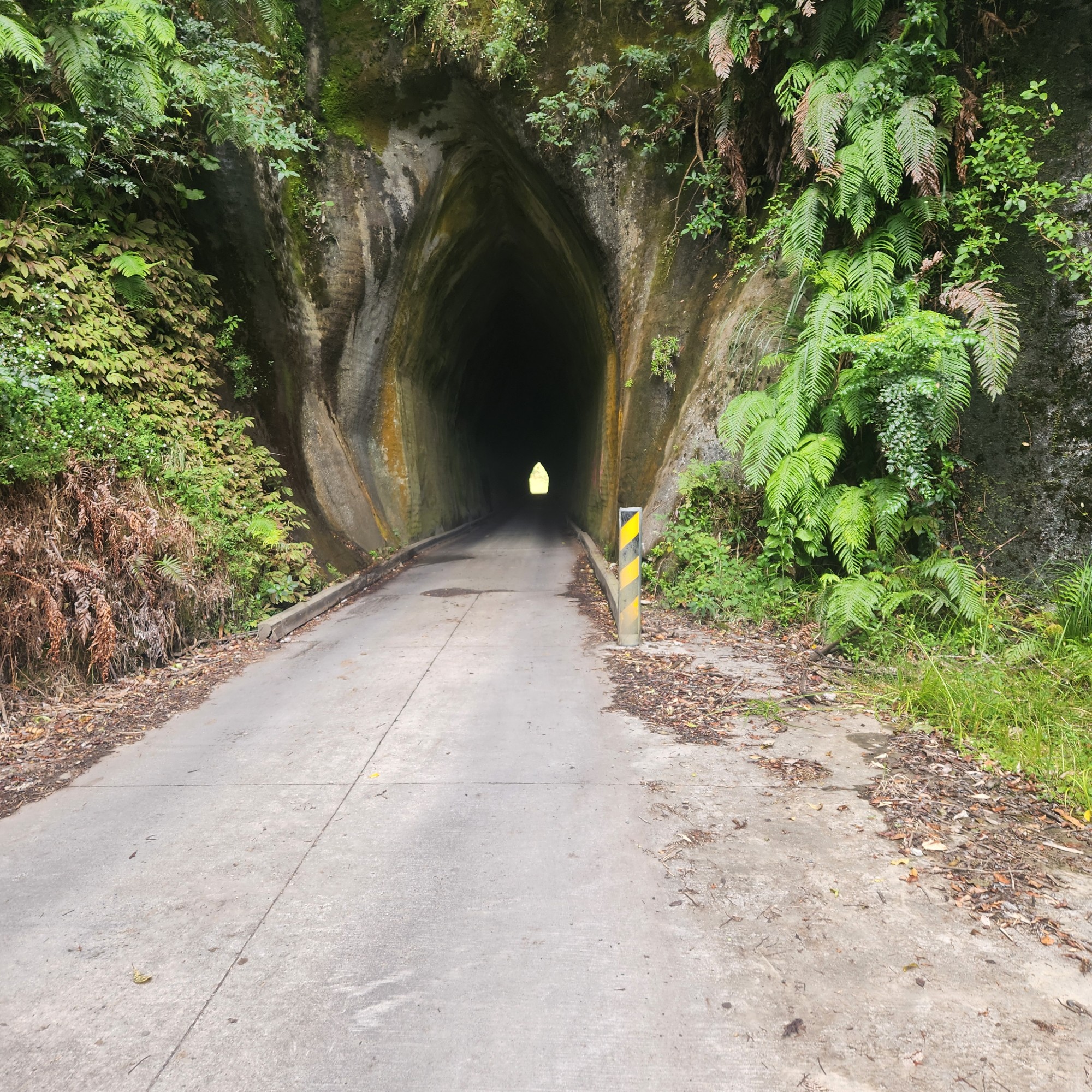 Mangaopapa Road image 6