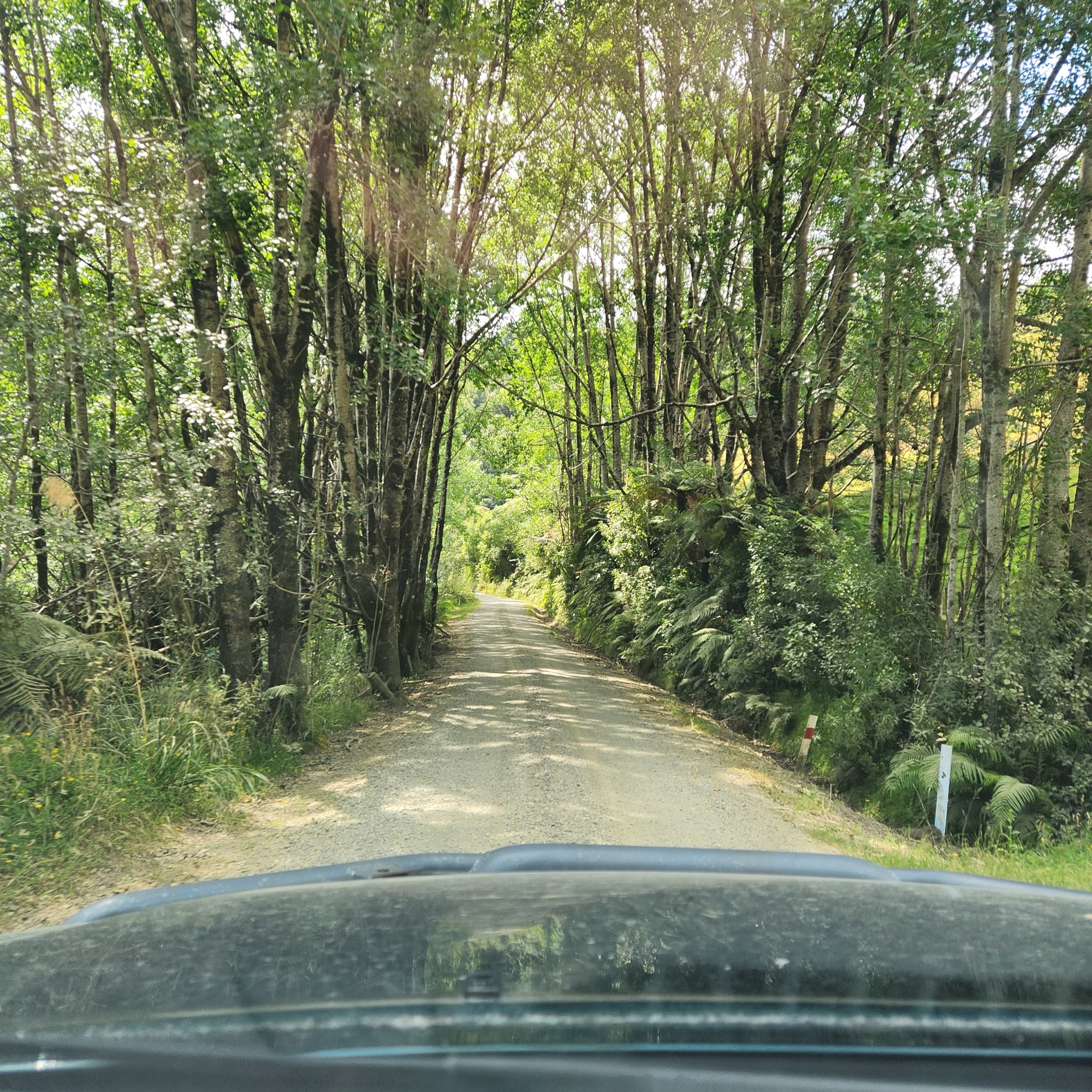 Moki Road image 7