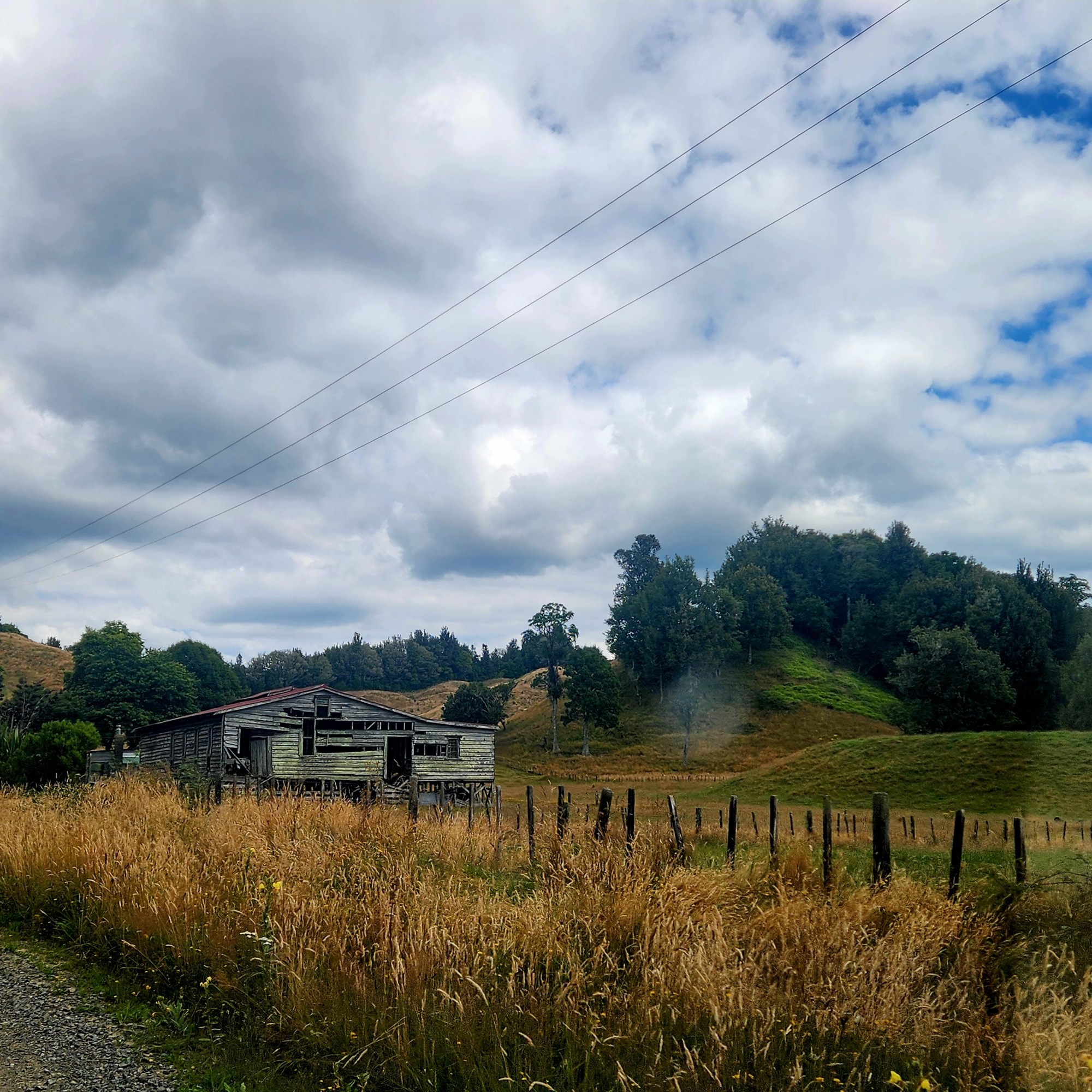 Manawhare Road image 5