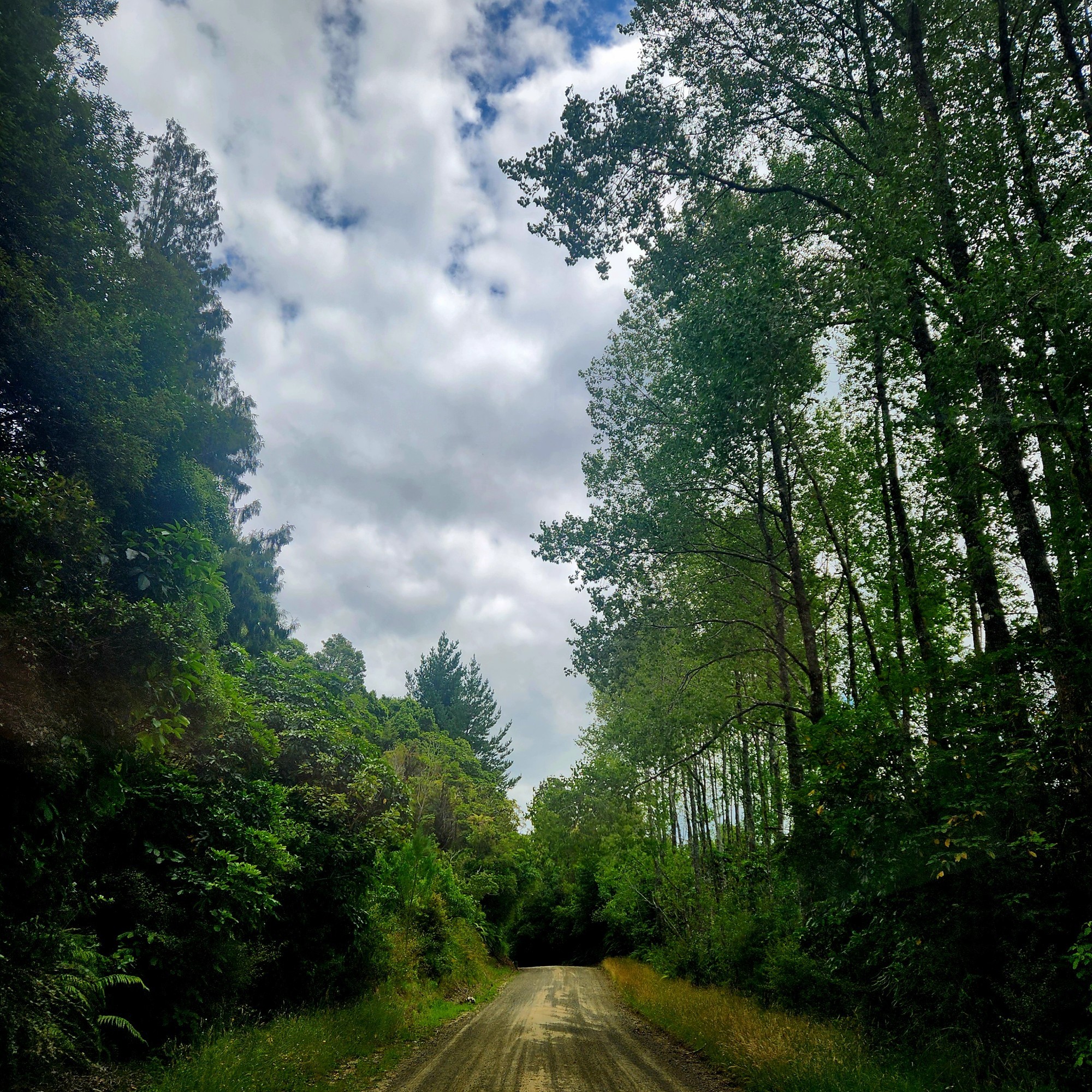 Manawhare Road image 3