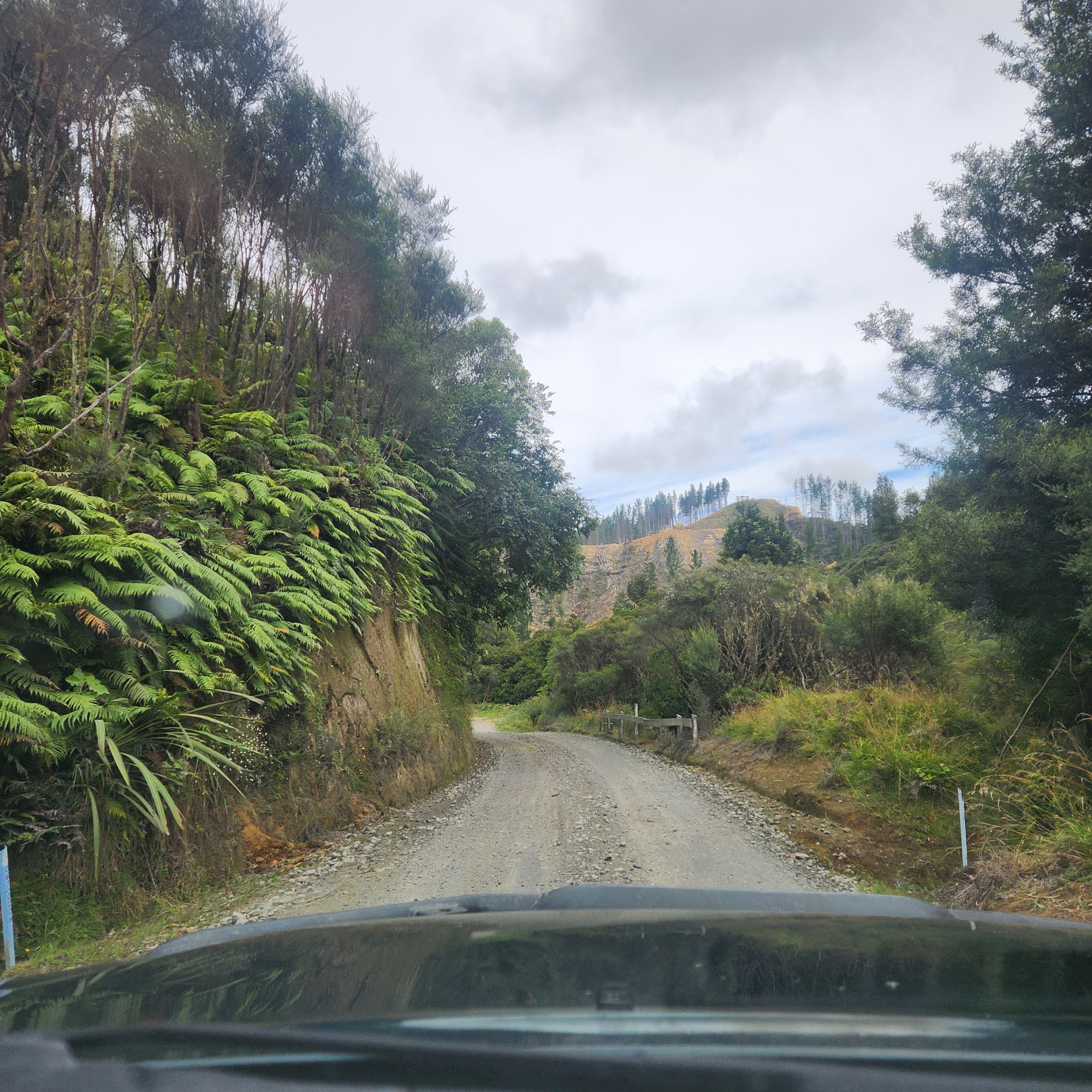 Mangaopapa Road image 5