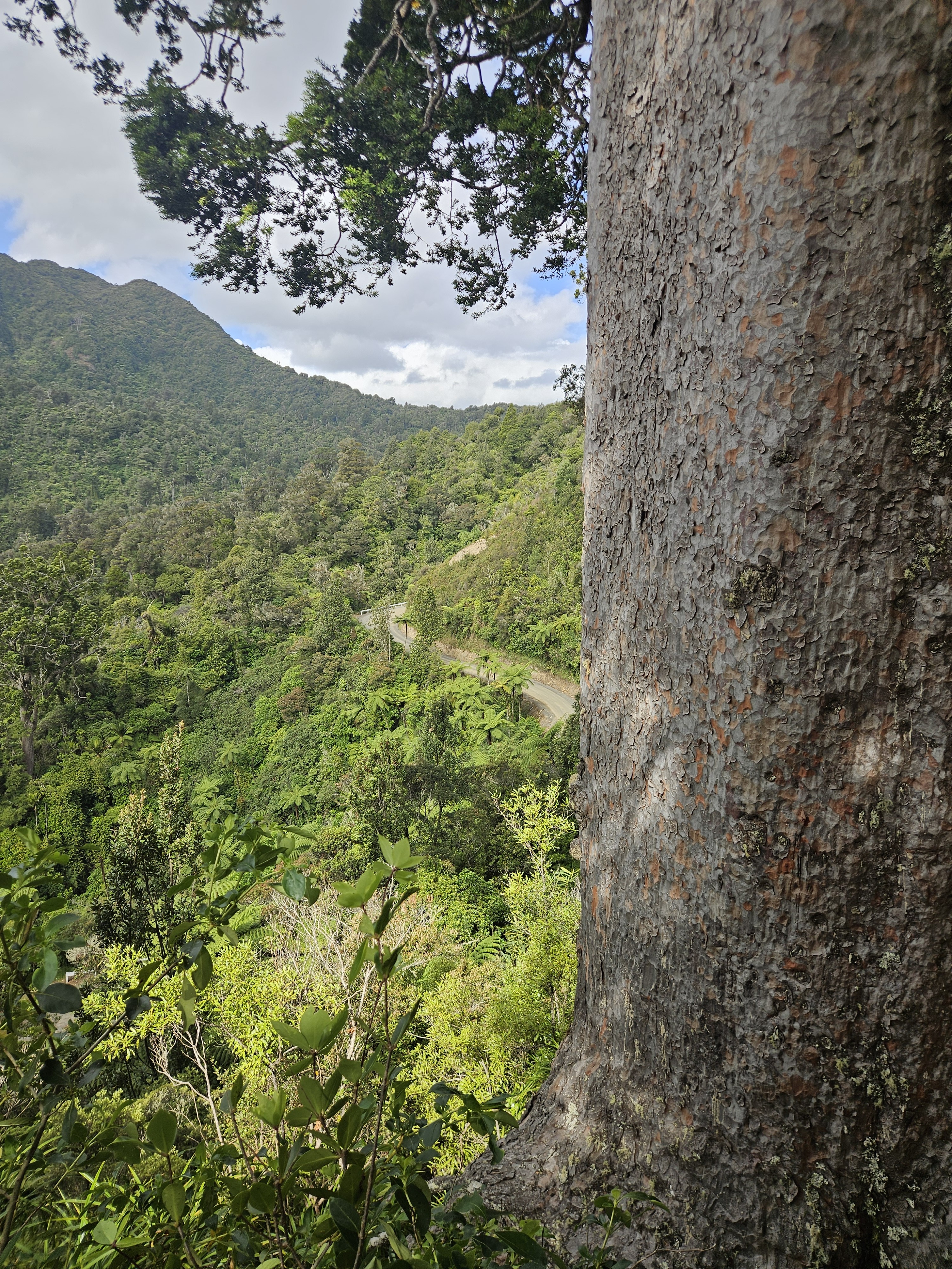 Tapu Coroglen Road image 1