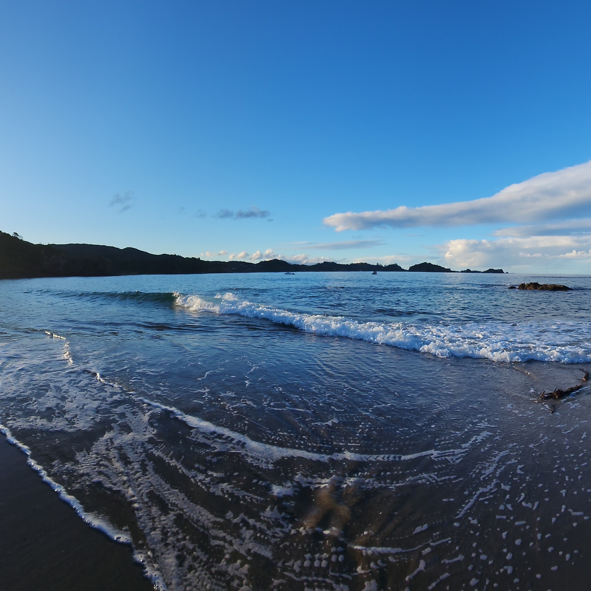 Otamure Bay (Whananaki) Campsite image 4