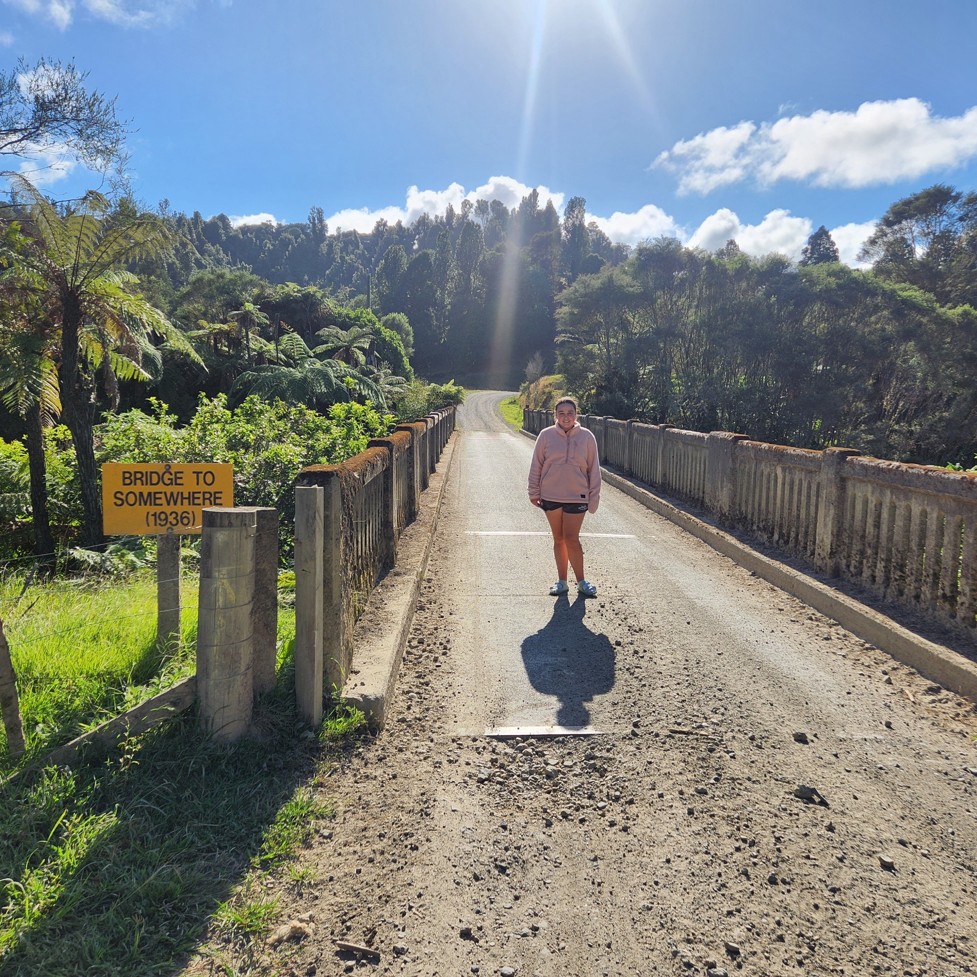 Whangamomona Road image 7
