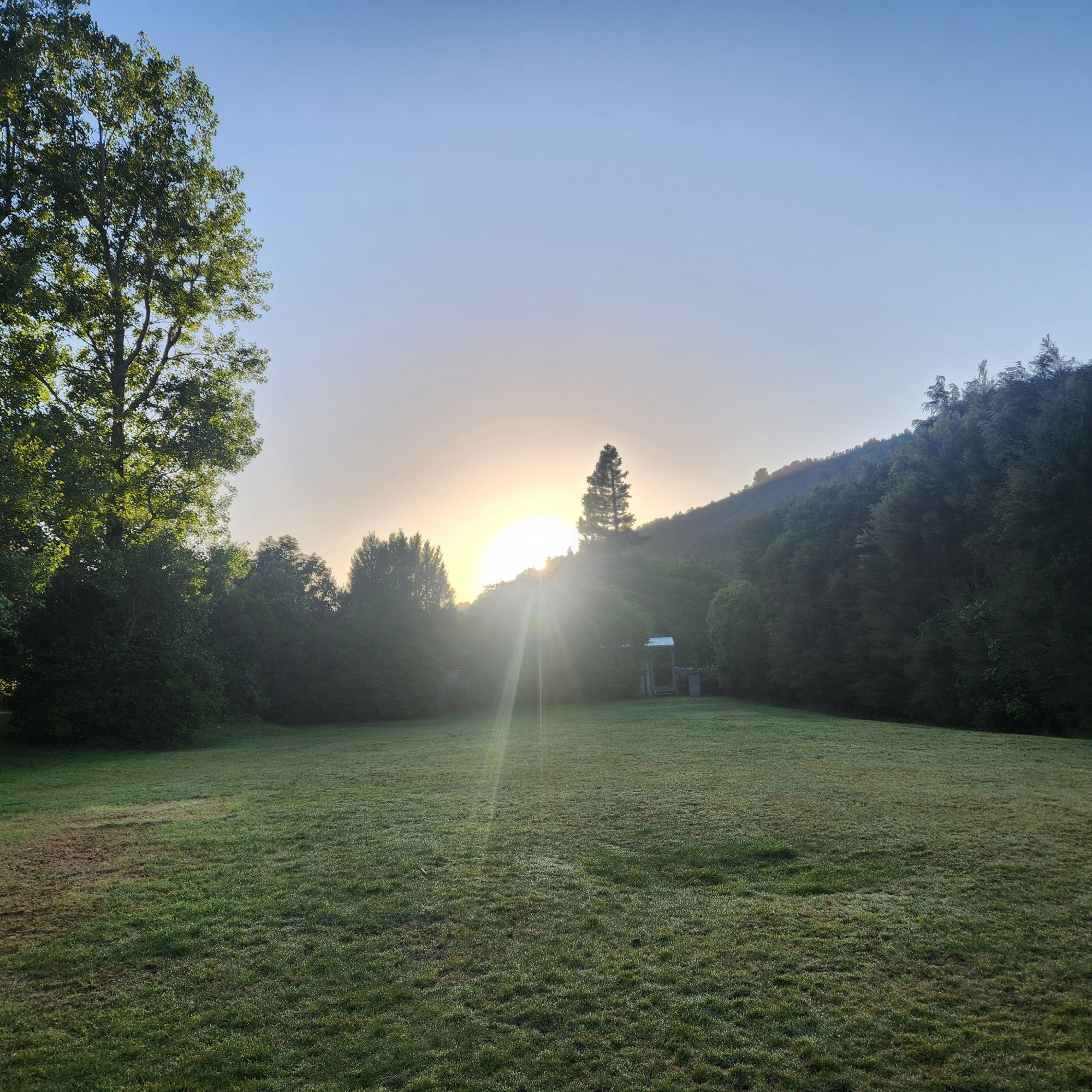 Holdsworth Campsite image 1