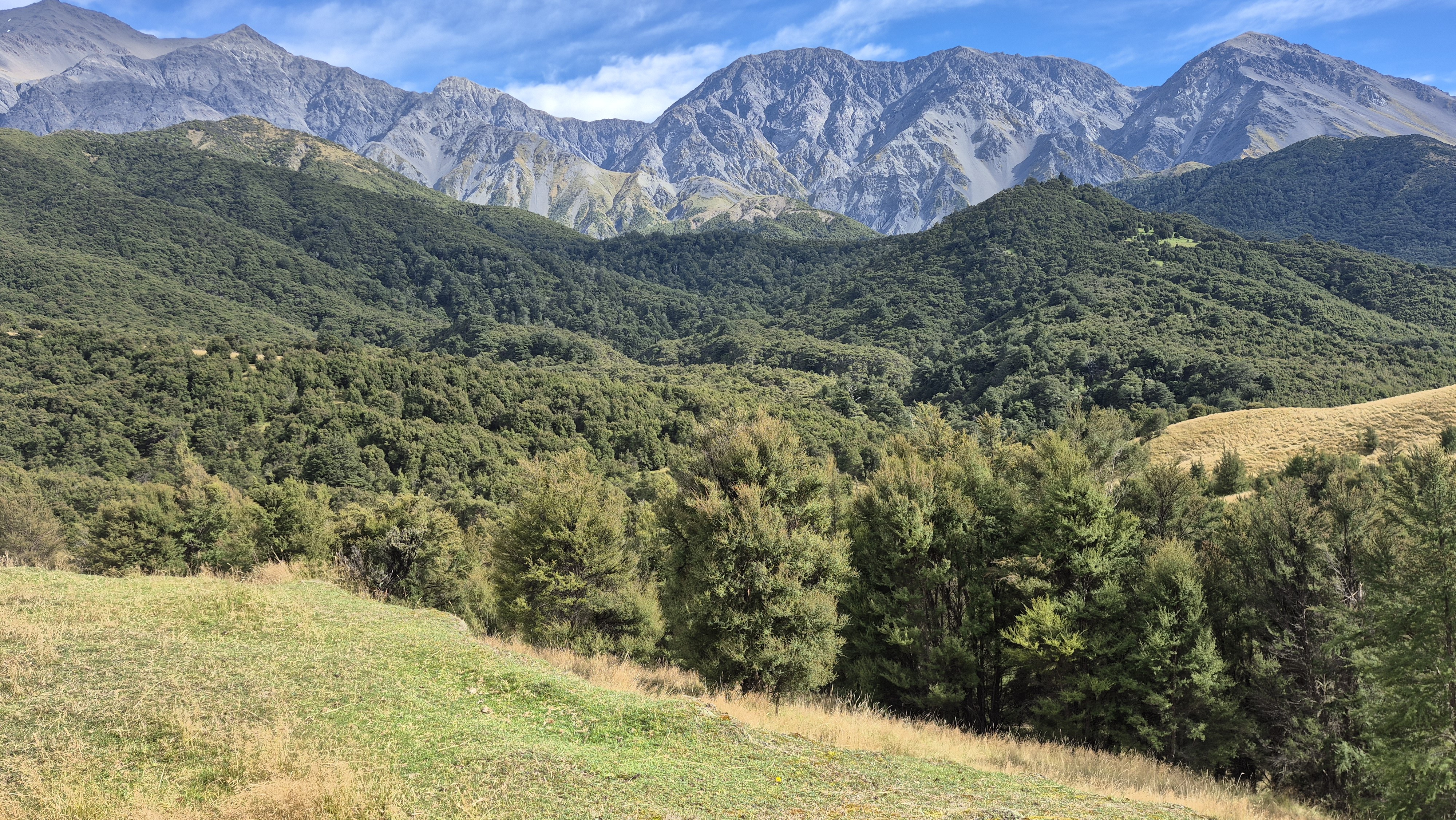 Puhi Puhi Valley image 1