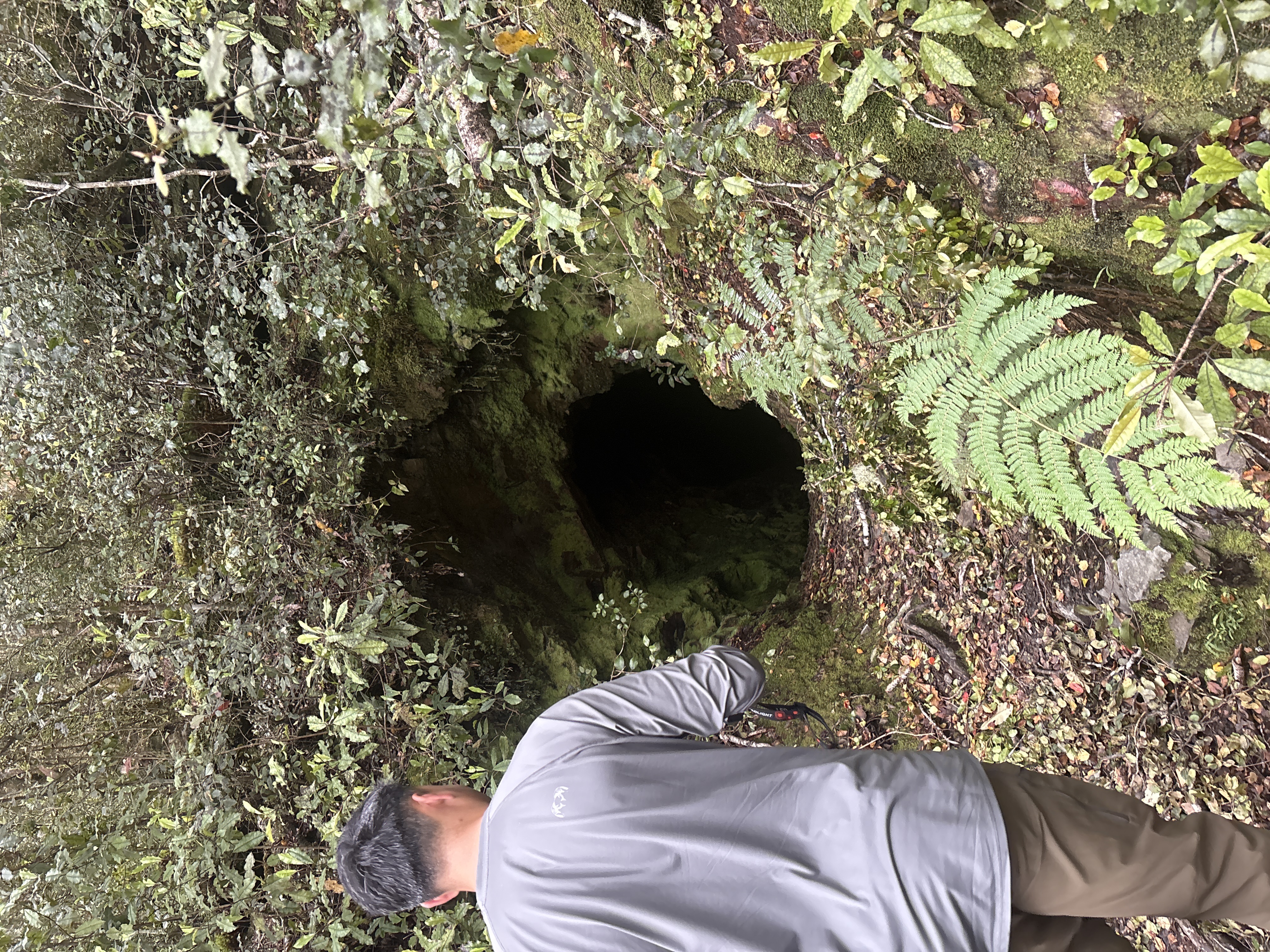 Slab Hut Creek Access image 1