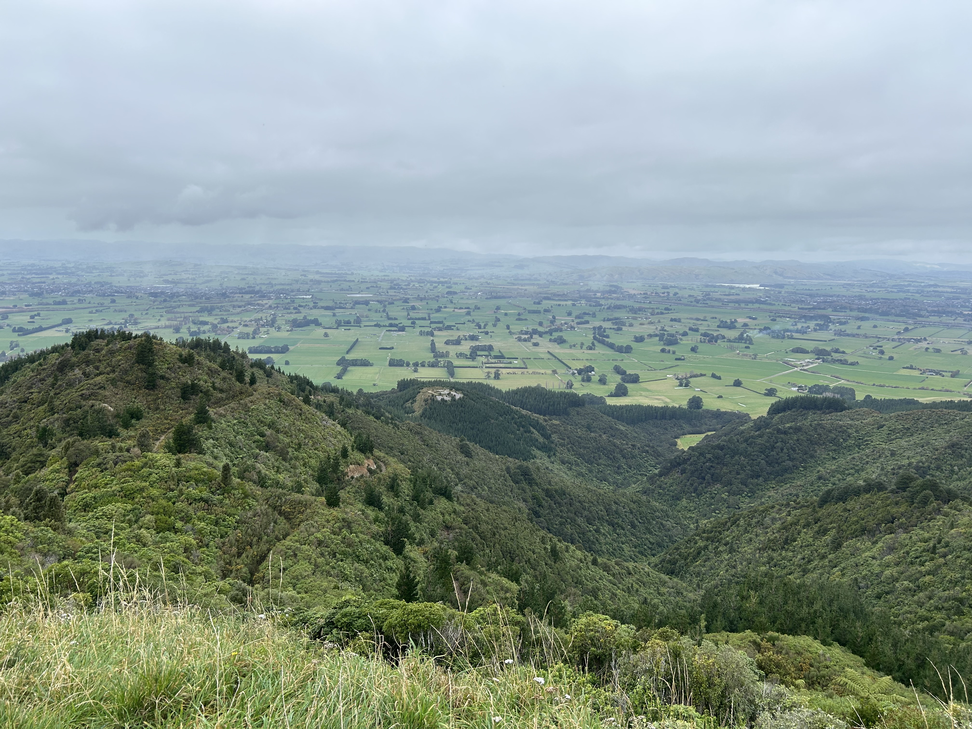 Mt Dick Lookout image 3
