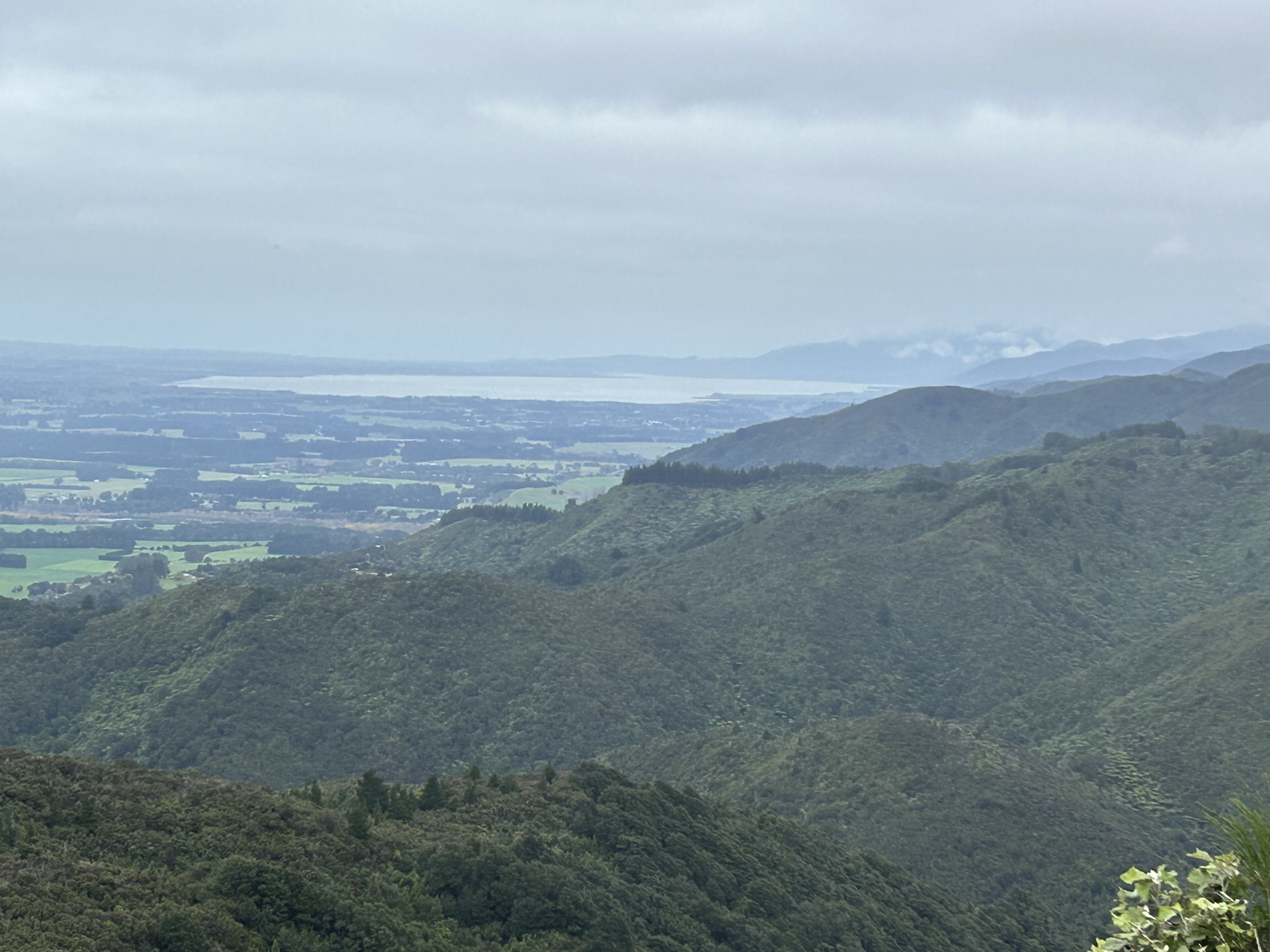 Mt Dick Lookout image 1