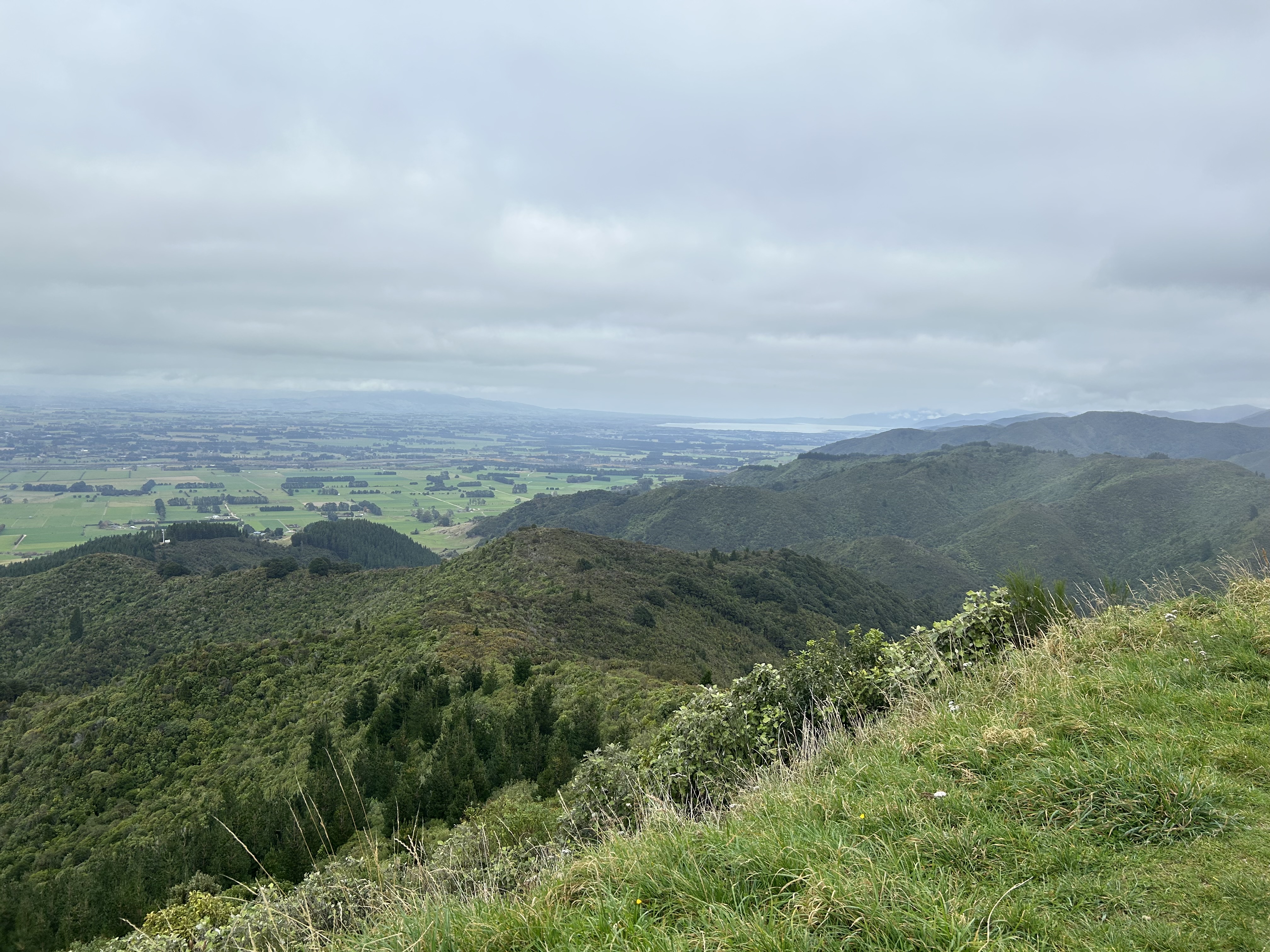Mt Dick Lookout image 6