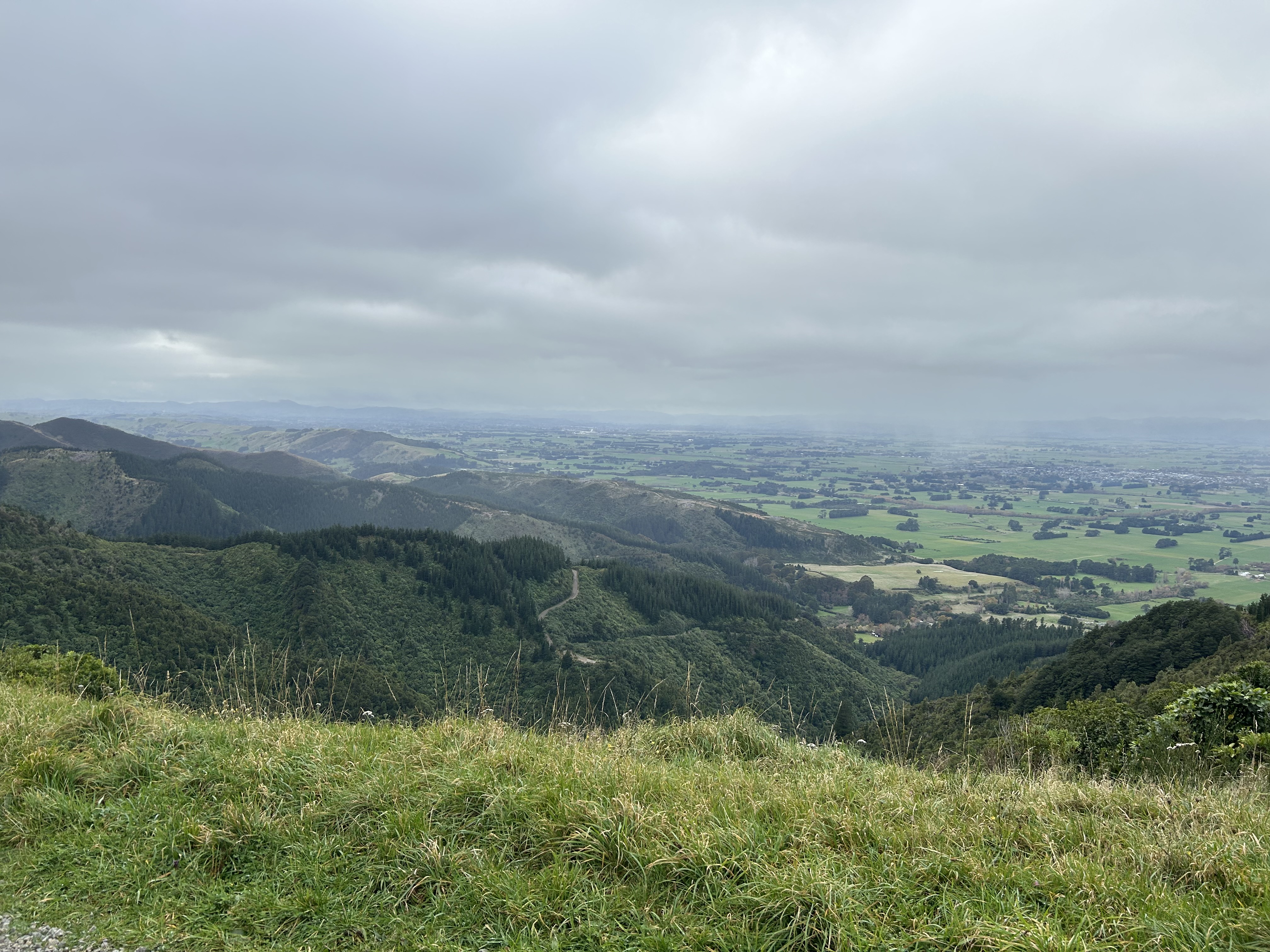 Mt Dick Lookout image 2