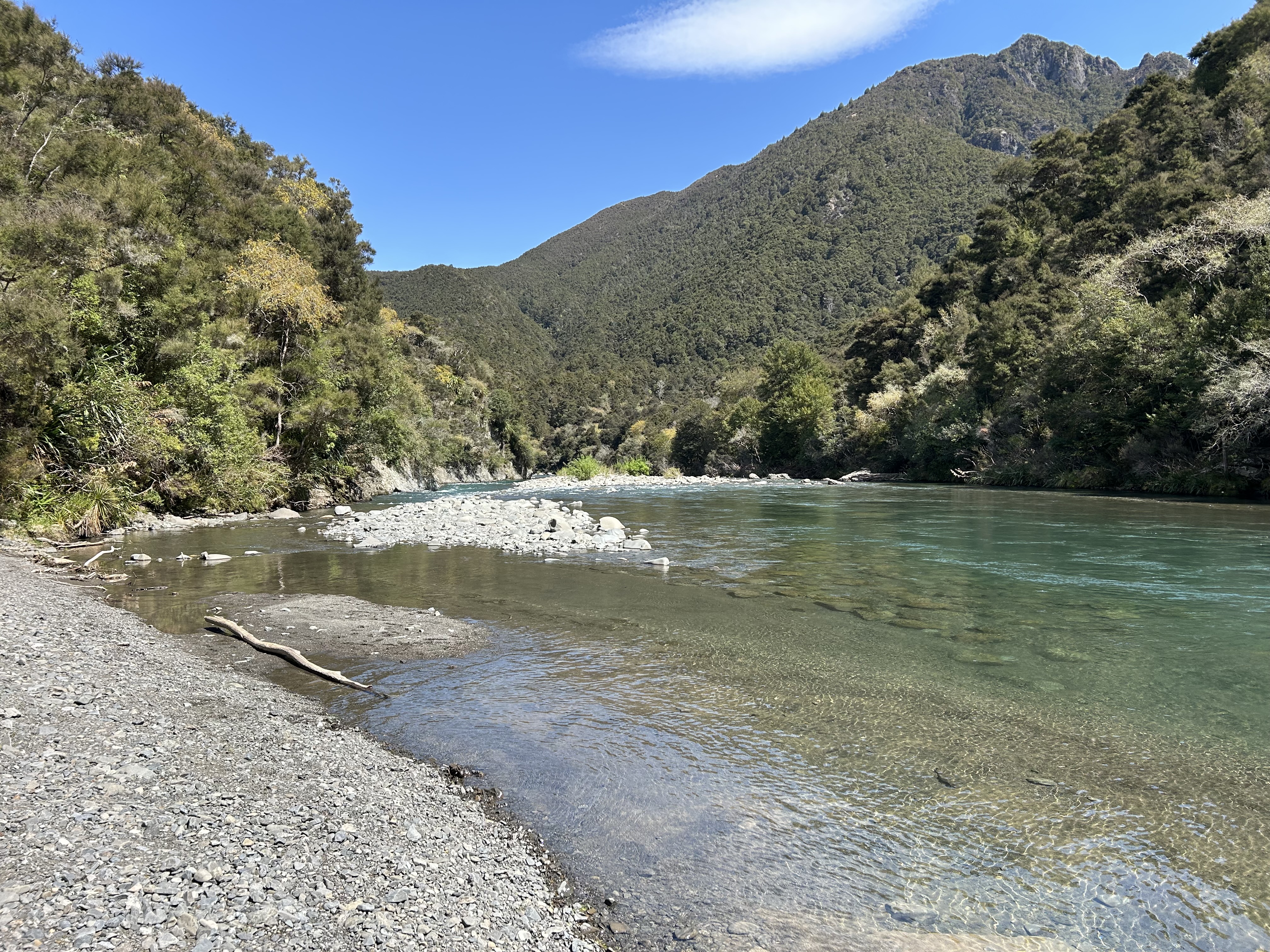Kuripapango (Ox Bow) Campsite image 2