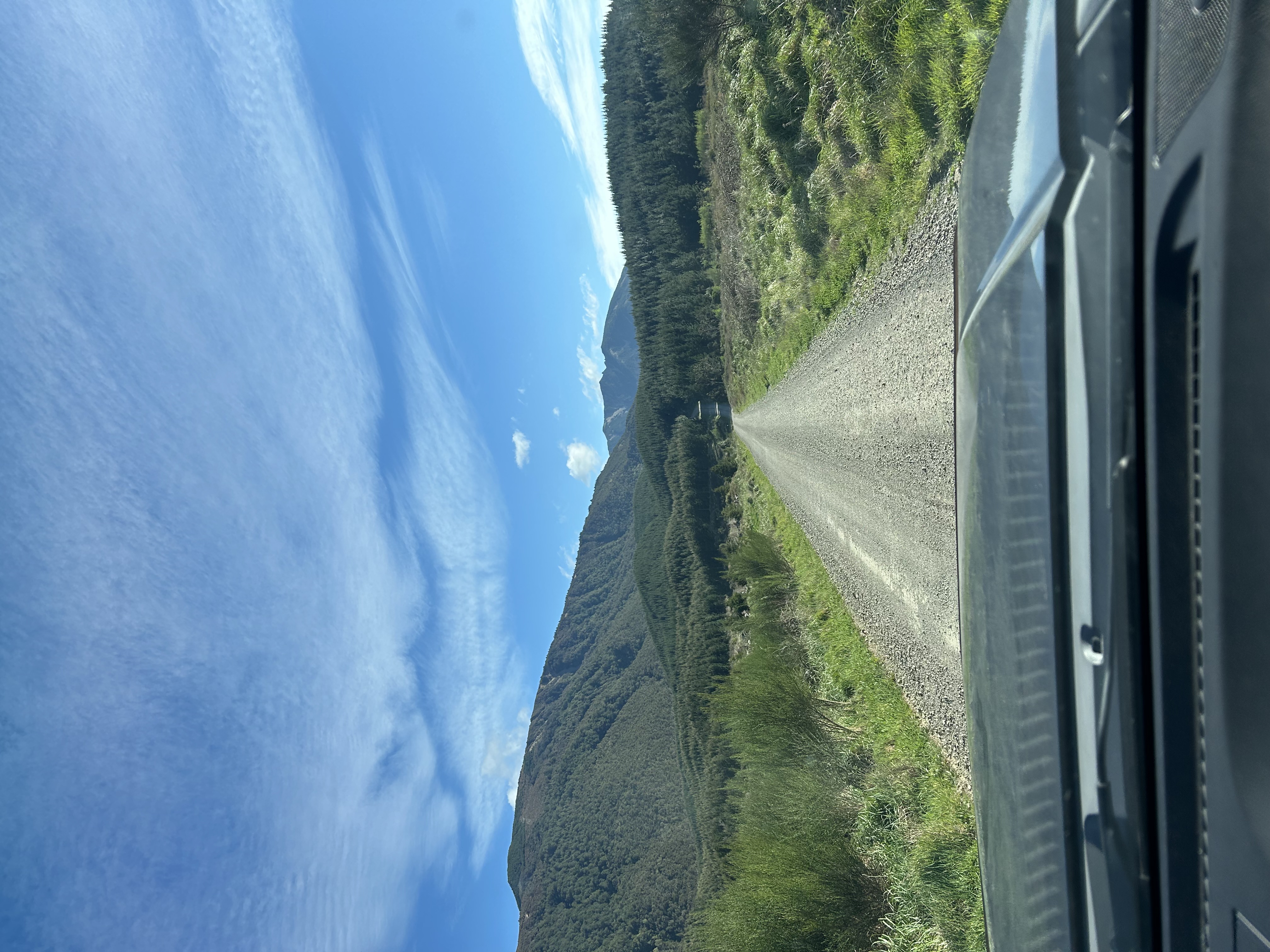 Kuripapango Road image 1